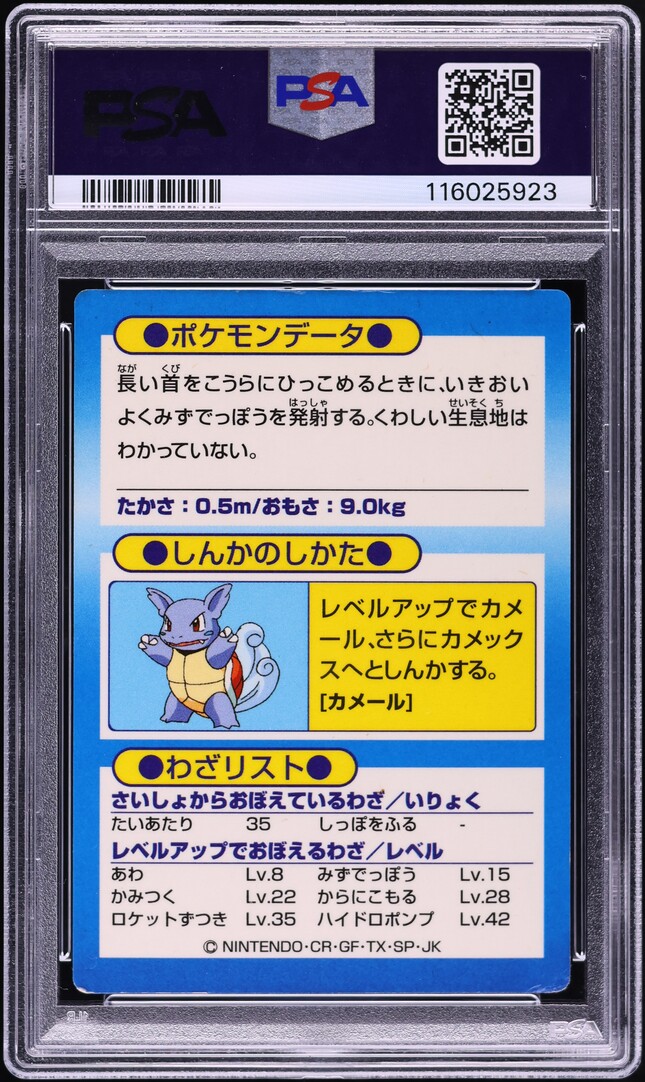 1997 Pokemon Japanese Meiji Promo Foil Squirtle PSA 1 MK PR on Fanatics Collect 1997 Pokemon Japanese Meiji Promo Foil Squirtle PSA 1 MK PR on Fanatics Collect