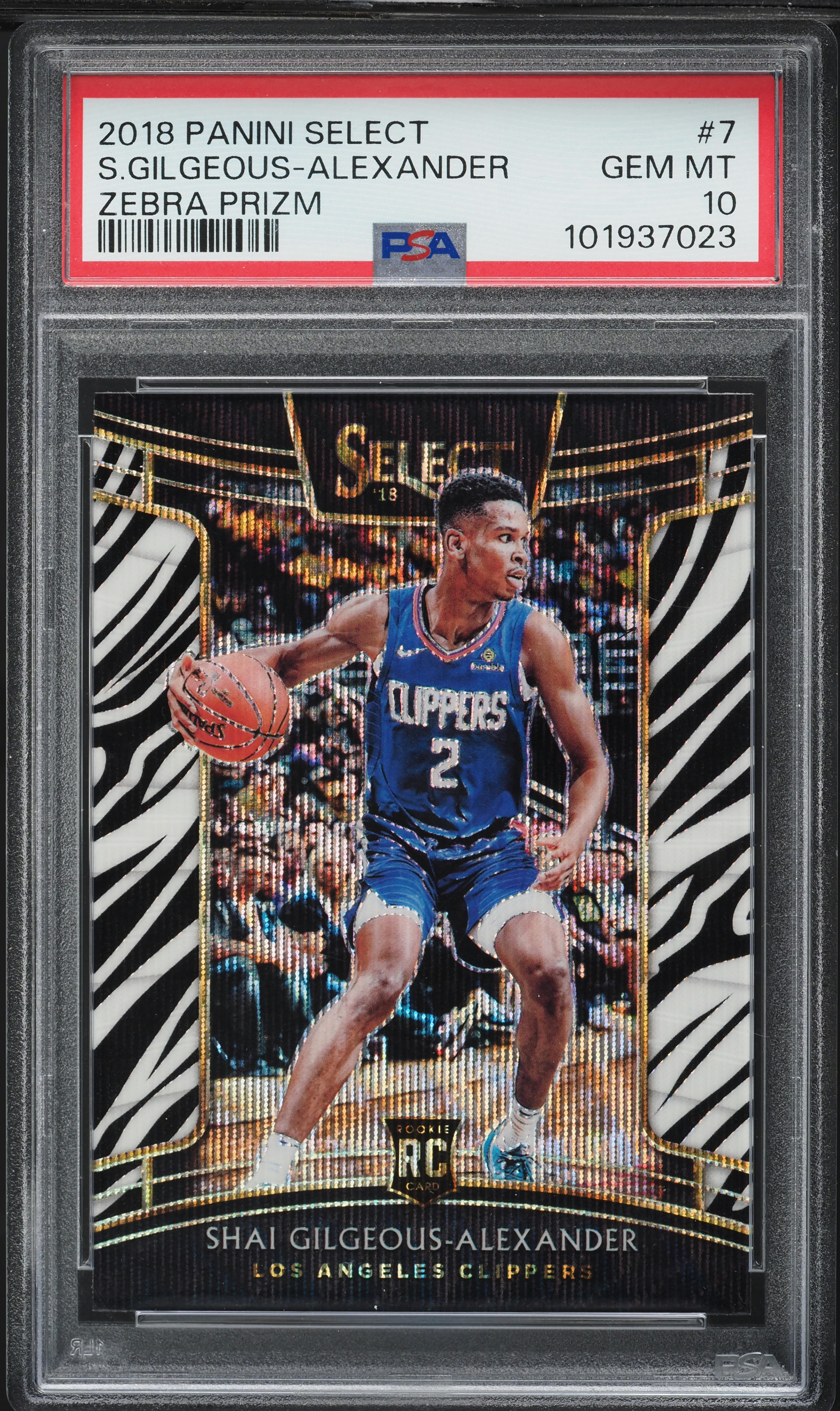 2018 Select Concourse Zebra Prizm Shai Gilgeous-Alexander ROOKIE