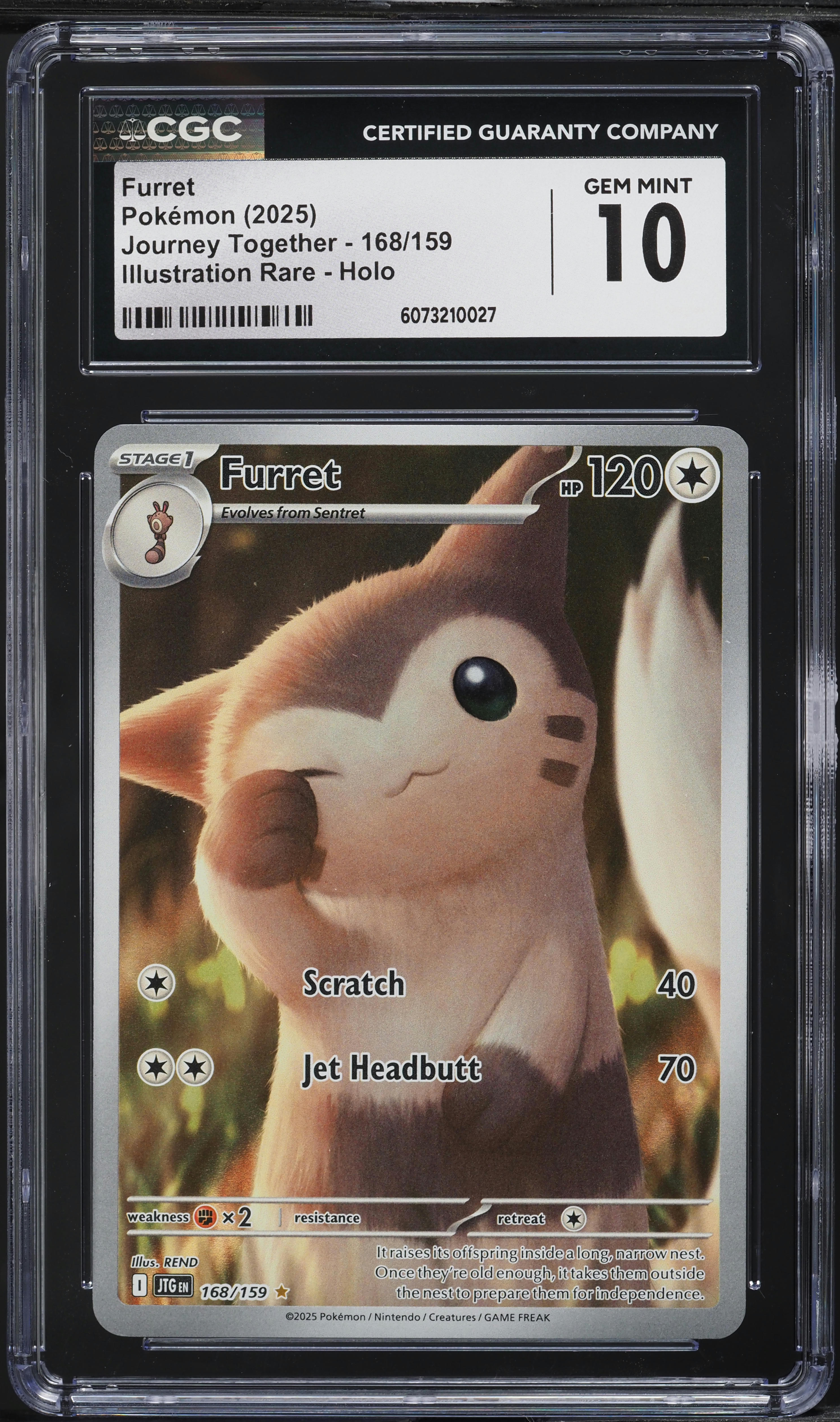 Furret PSA 10 IR 2025 Pokemon Journey Together 168/159
