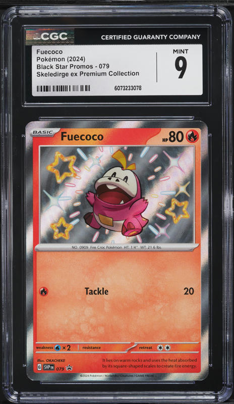 rare pokemon halloween cards 2023 rare pokemon halloween cards 2023 COMPLETE 30 Card Set