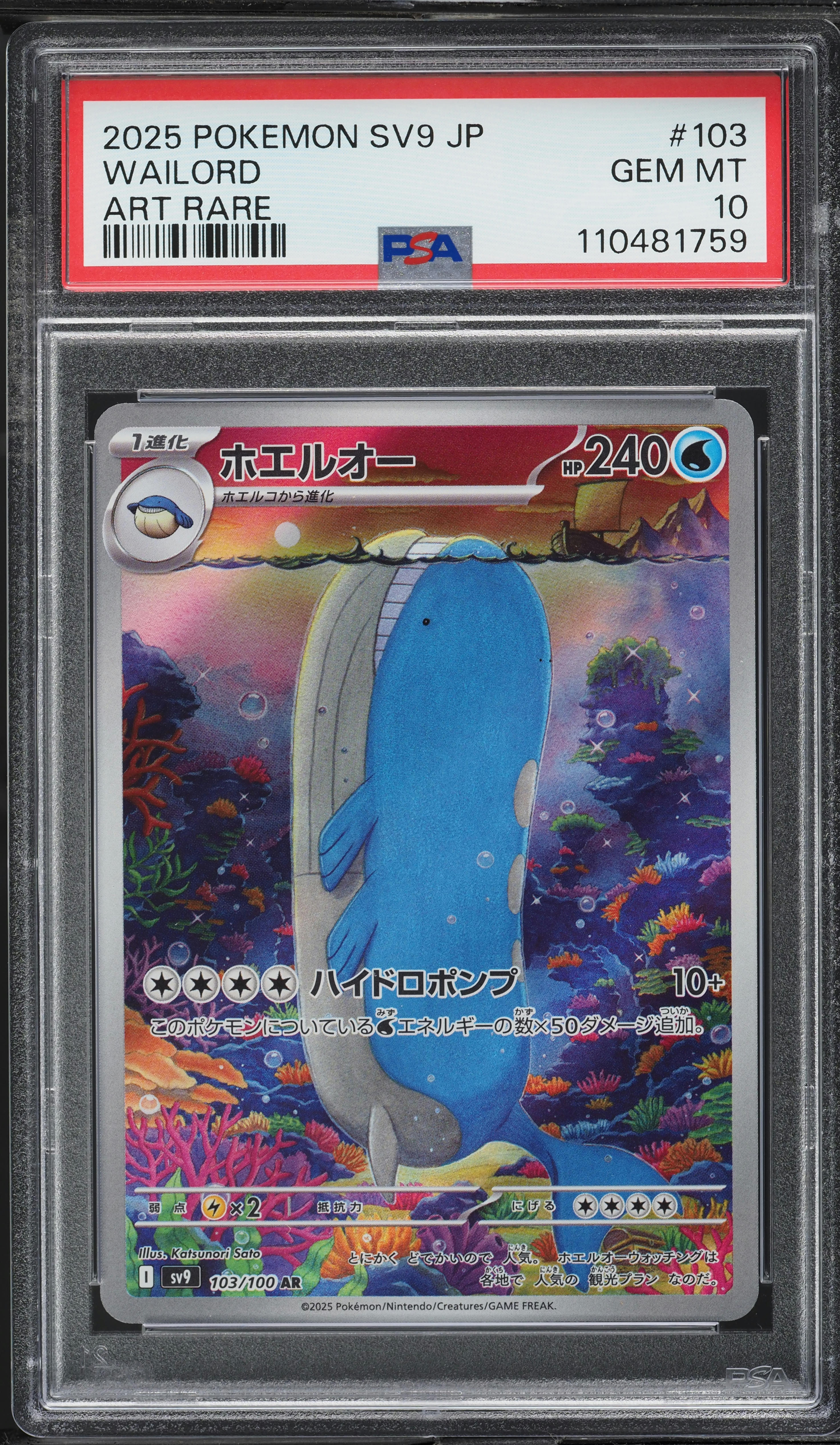 v1511746_2020081908544159R_31.jpg