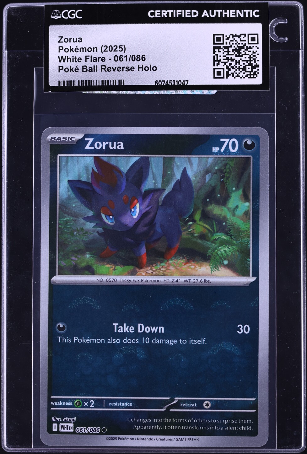 2025 Pokemon SV White Flare Poke Ball Reverse Holo Zorua #61 CGC AUTH