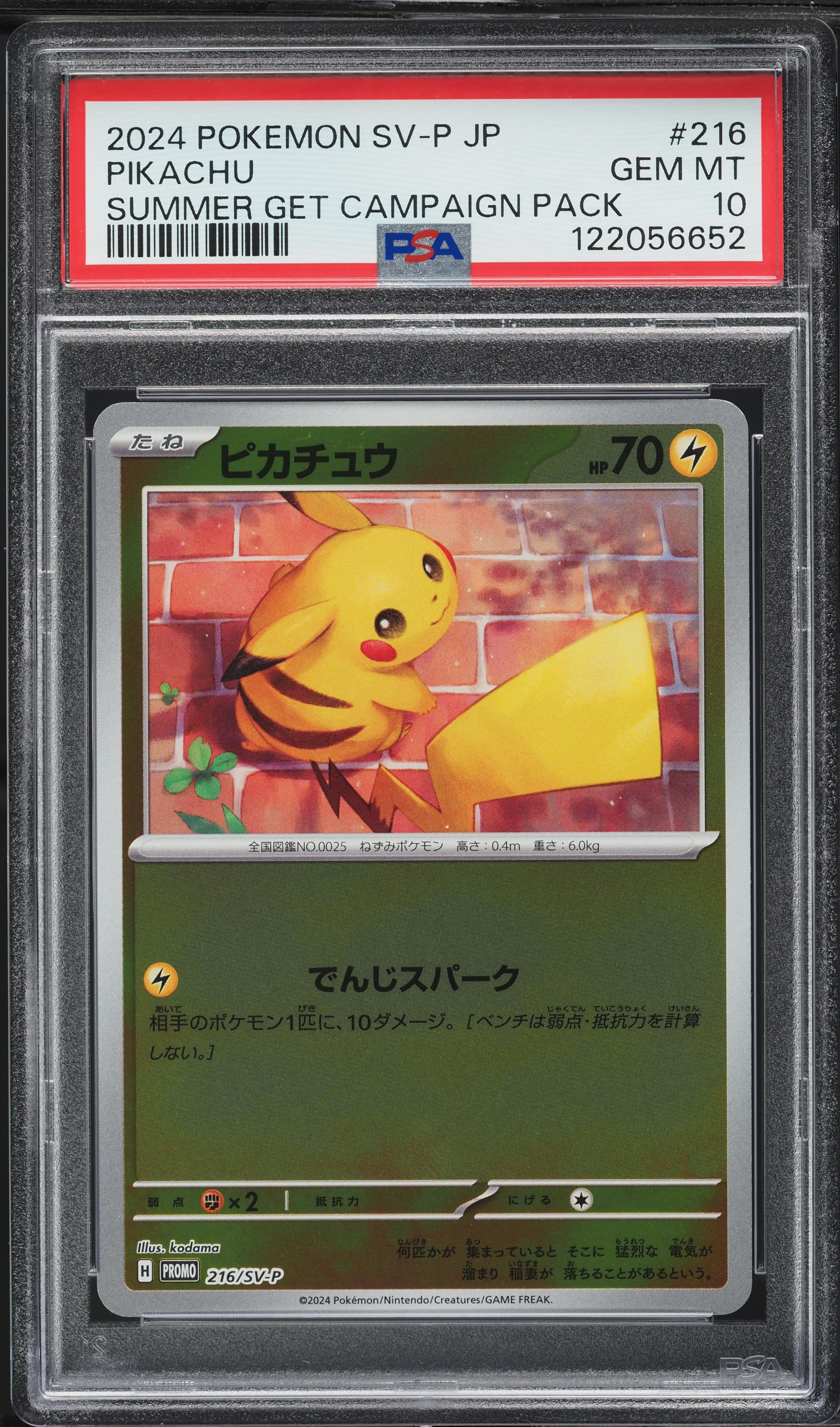2024 Pokemon Japanese SV Promo Summer Is Here! Campaign Pikachu