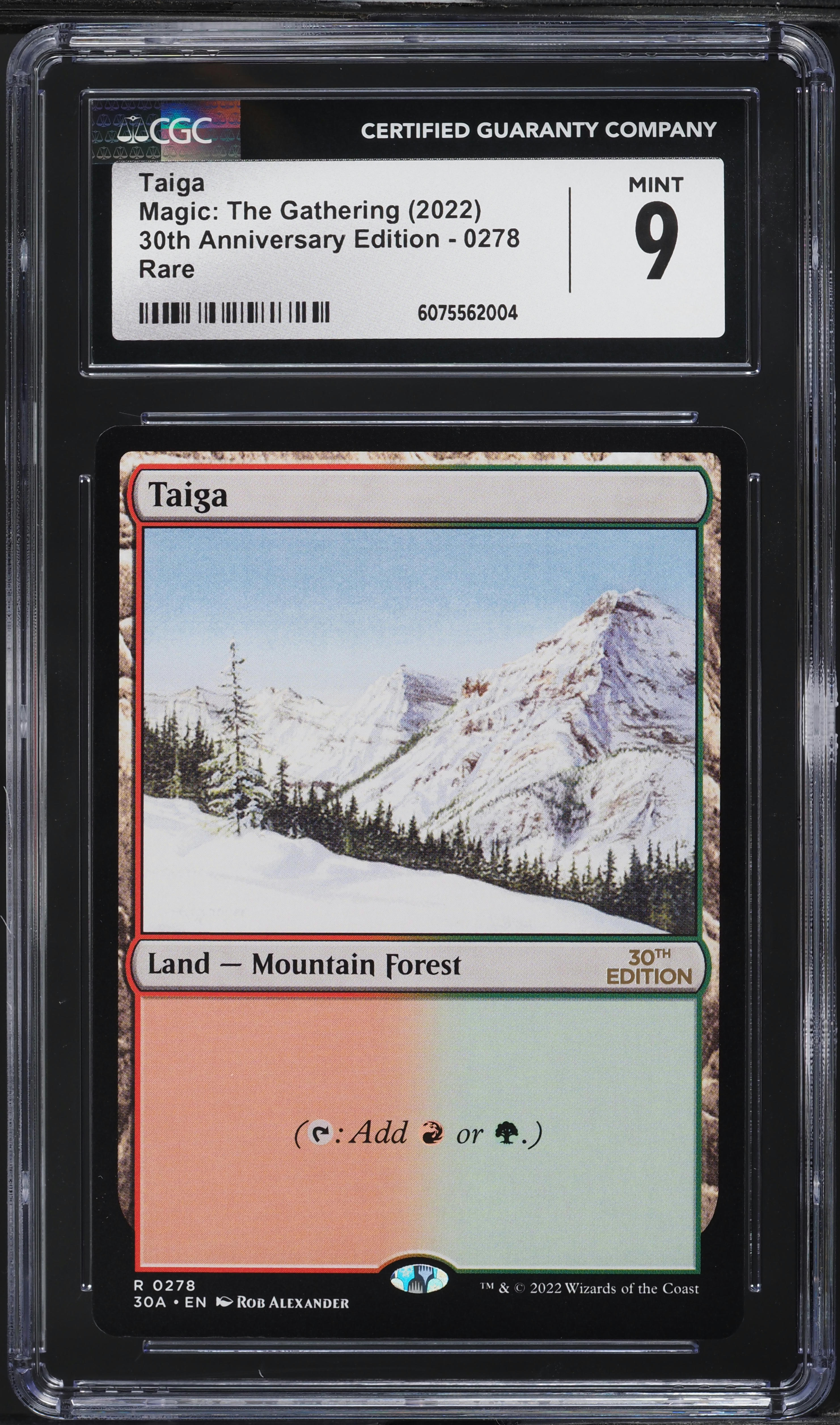 2022 Magic The Gathering MTG 30th Anniversary Edition Taiga #0278