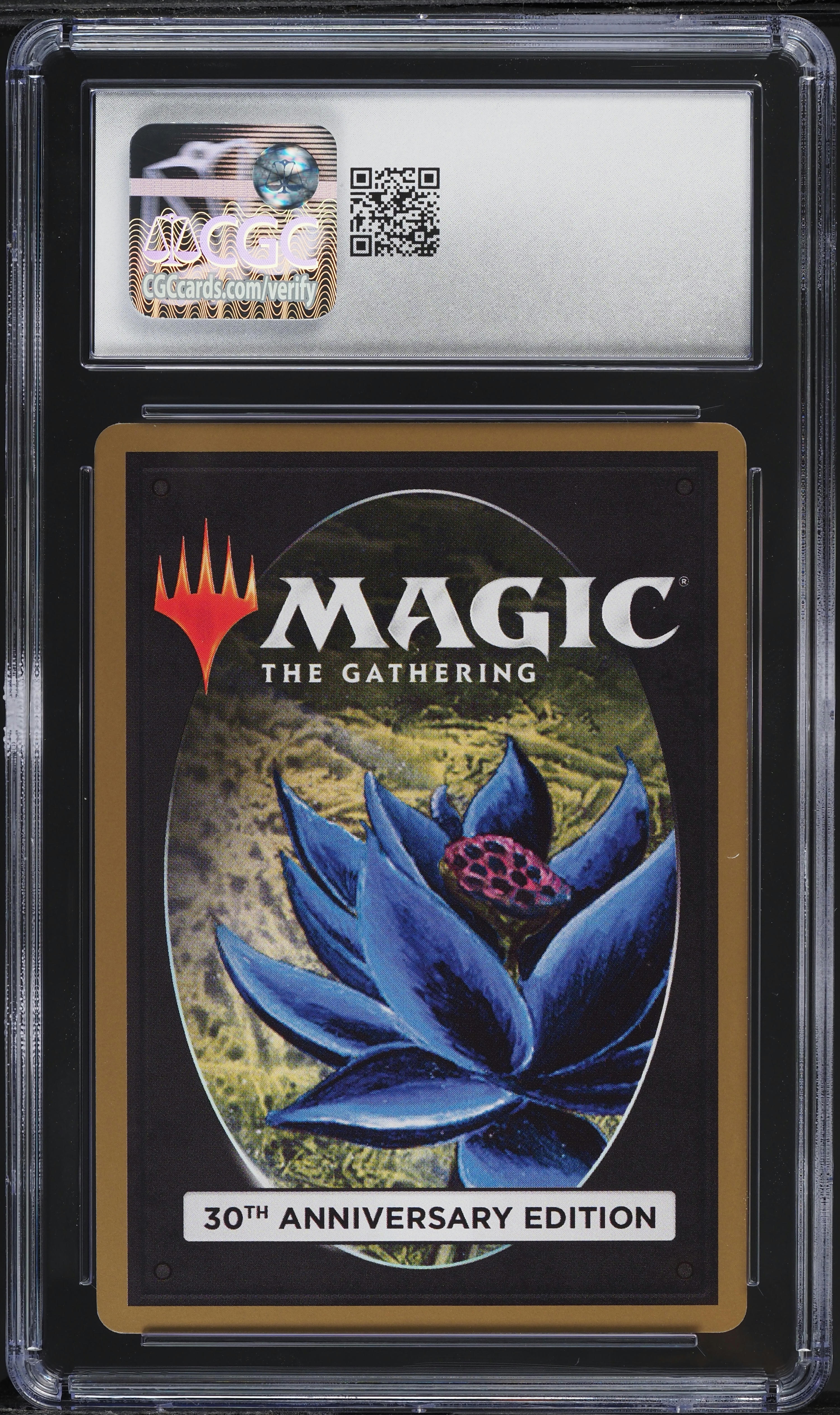2022 Magic The Gathering MTG 30th Anniversary Edition Taiga #0278