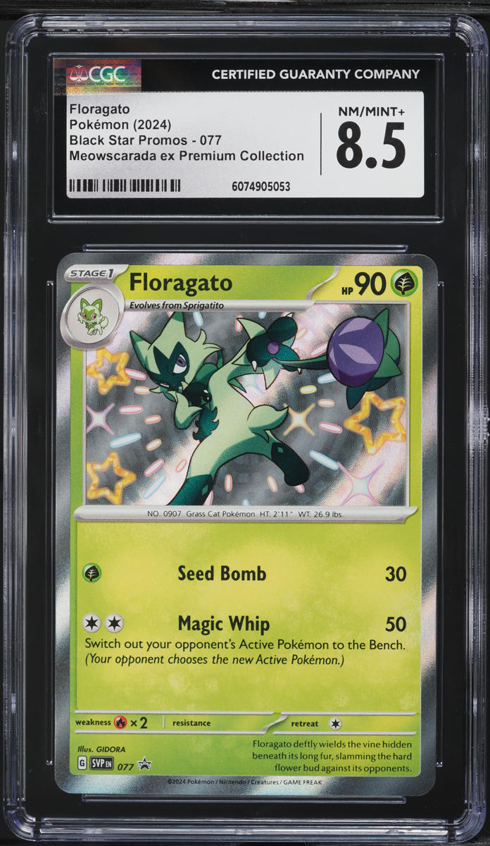 floragato pokemon card Sprigatito AR AR Meowscarada SAR Evolution Set Custom Pokmon Display Frame Case The item may be similar but not exactly the same as the image (e.g 2024 Pokemon SV Promo Premium