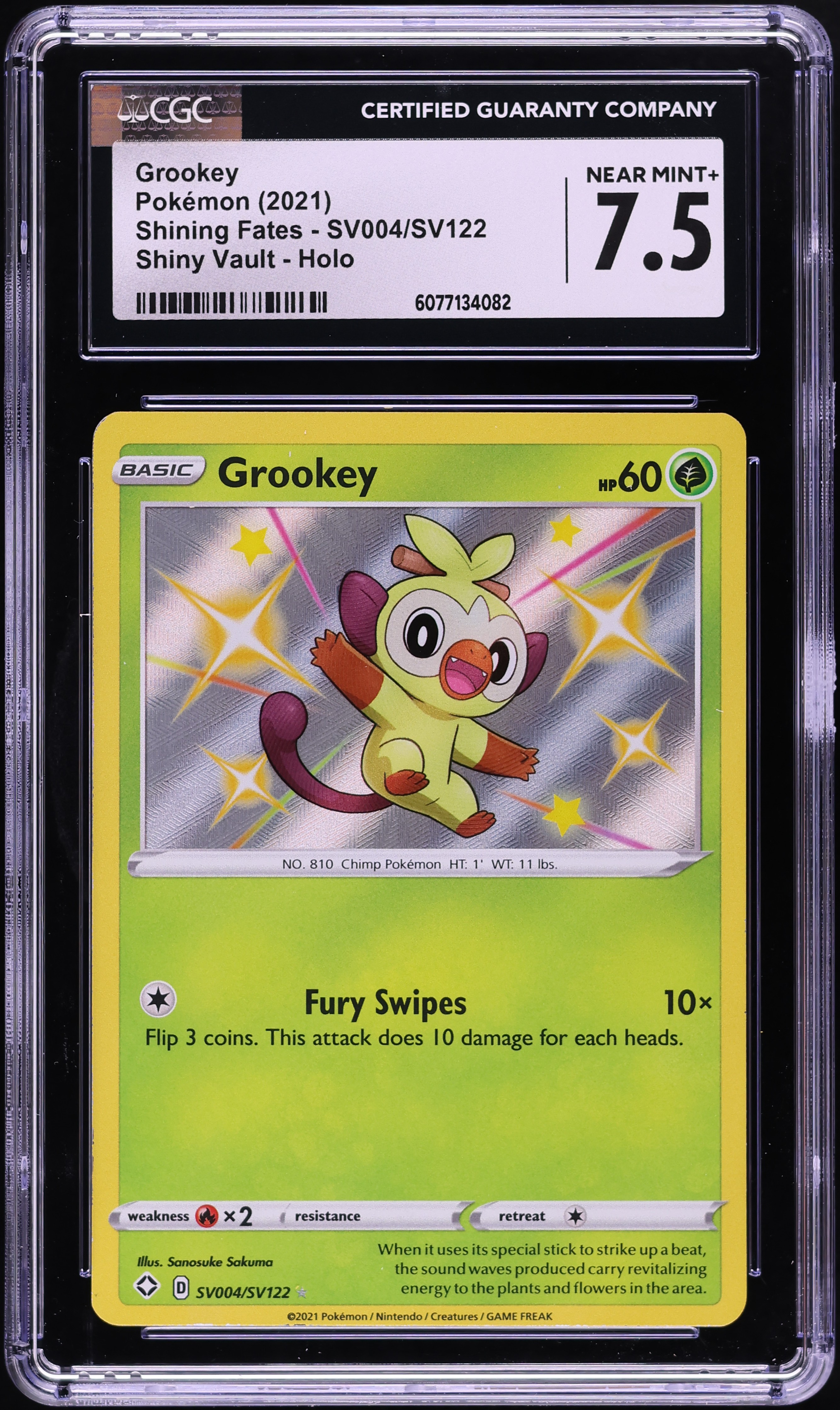pokemon tcg supporter card Supporter Cards