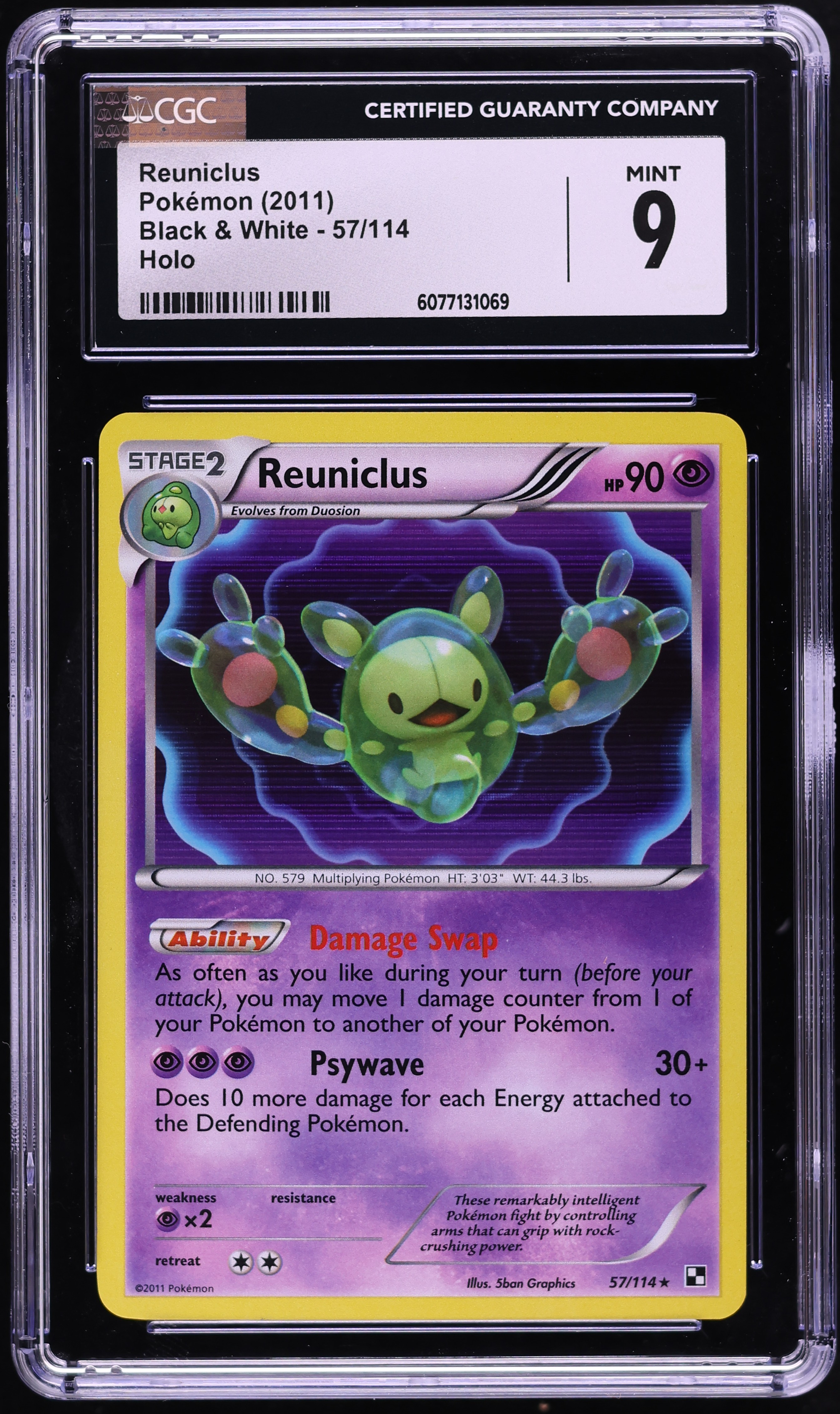 pokemon rarest cards 20 Crazy Expensive Common, Uncommon, and Rare Pokmon Cards You Might Own