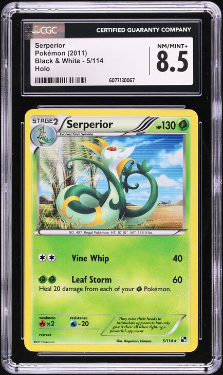 2011 Pokemon Black & White Holo Serperior #5 CGC 5 EX on Fanatics Collect
