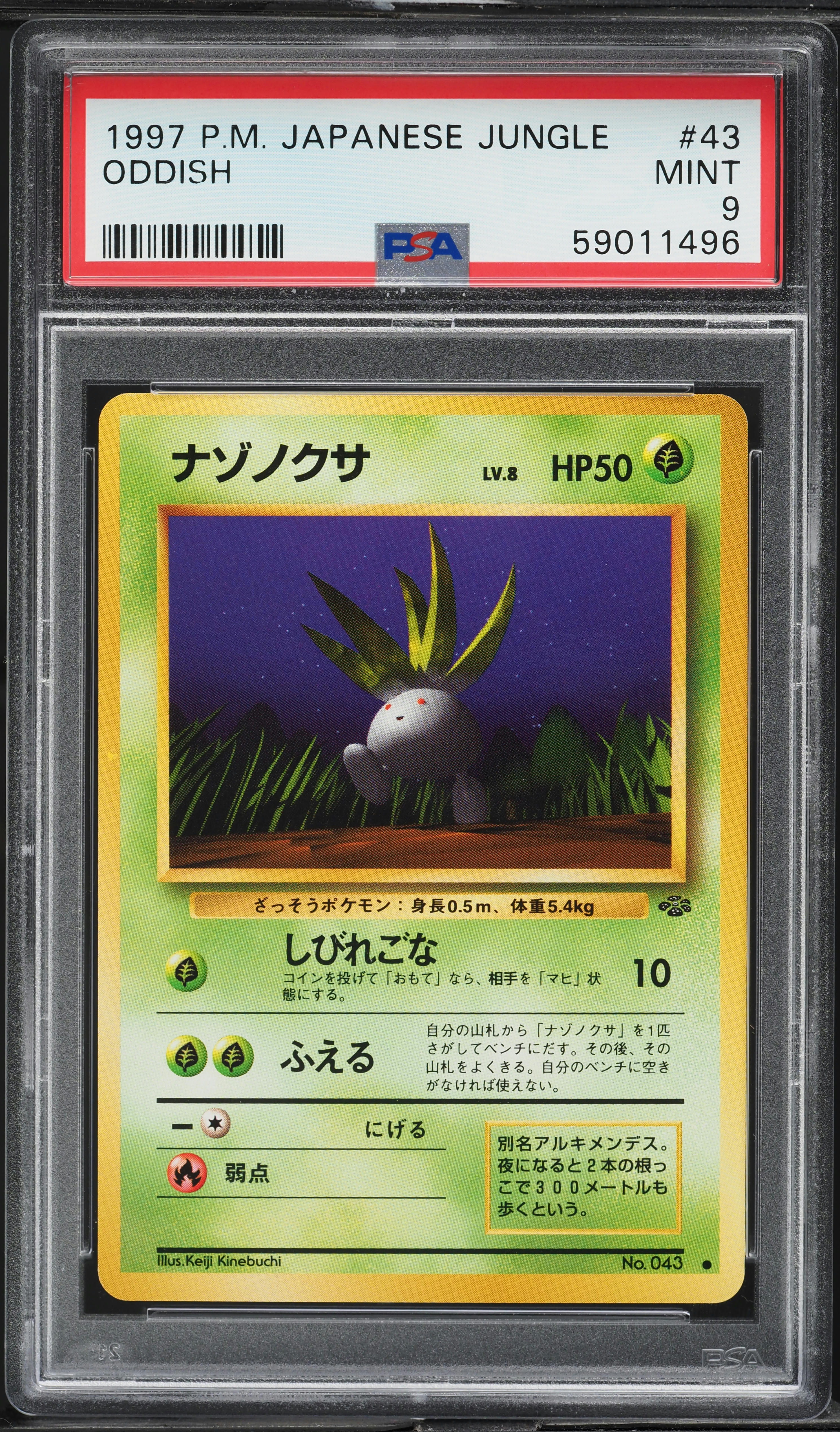 1997 Pokemon Japanese Jungle Oddish #43 PSA 9 MINT on Fanatics Collect