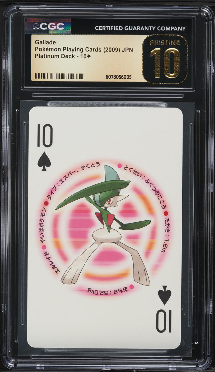 pokemon card druddigon TG09/TG30 Druddigon
