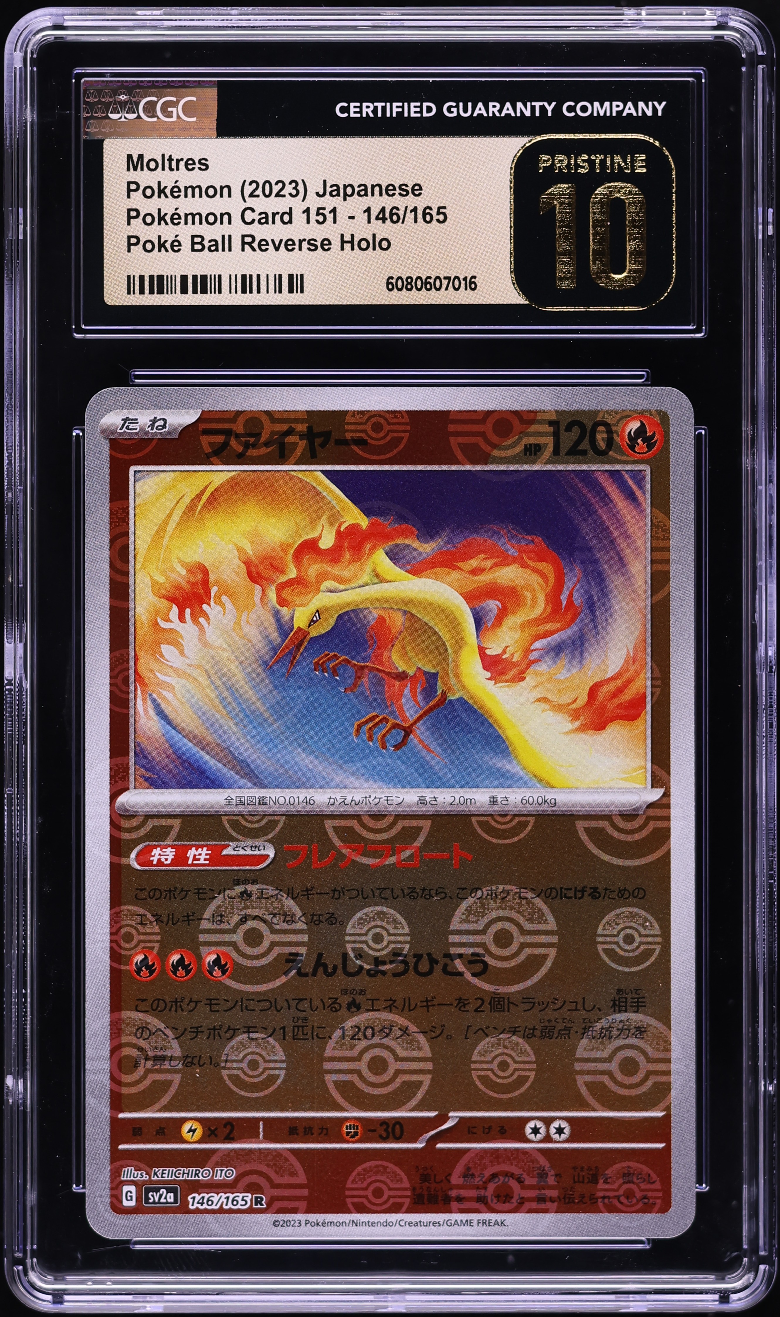 japanese moltres pokemon card 2021 Pokmon VMAX Climax Galarian V 242/184 CGC 9.5 G  Oblivion Collectibles style setup or your main portfolio Moltres [Master Ball] #146 Pokemon