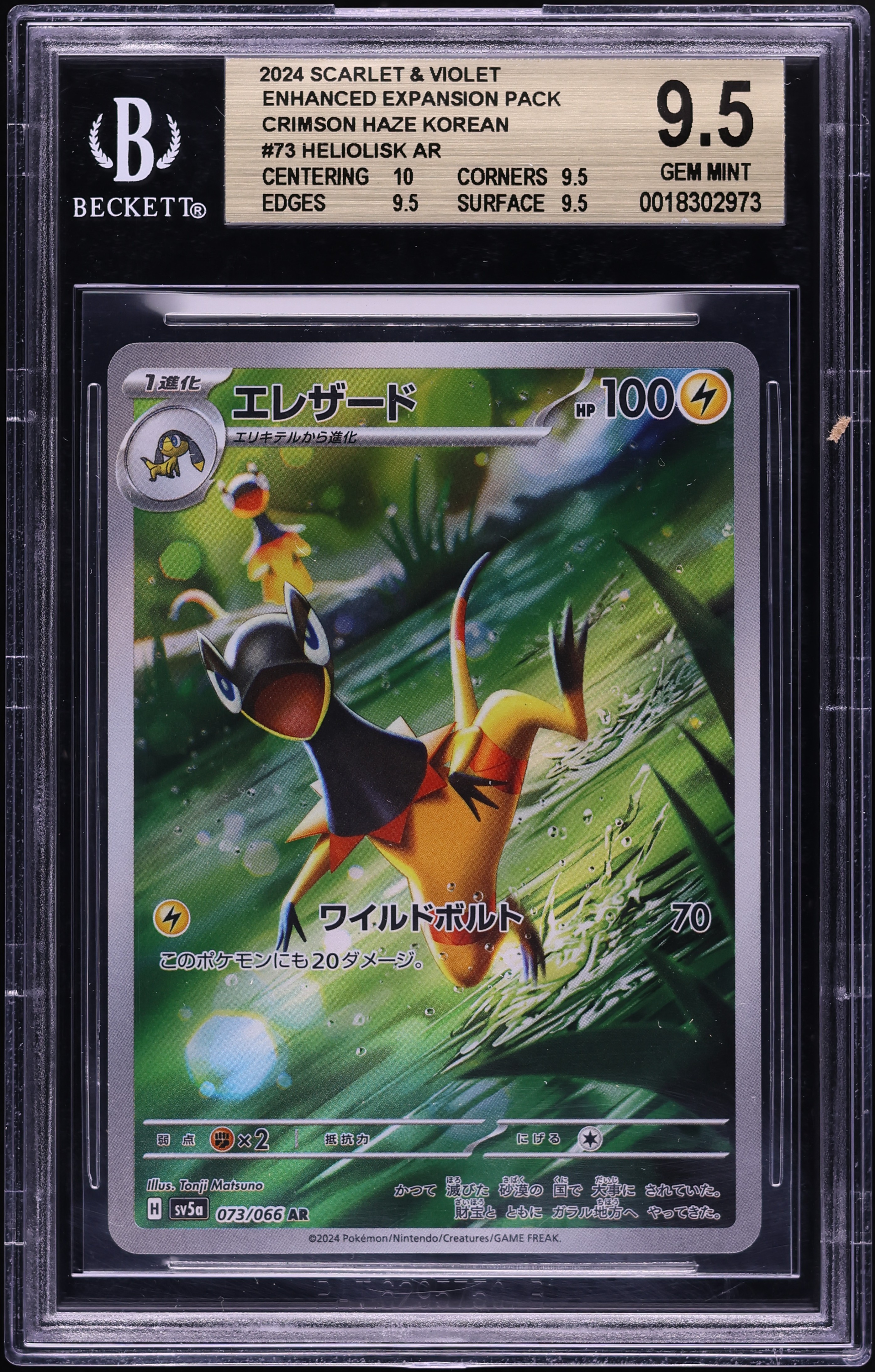 pokemon center trading cards Pokemon TCG: Pokemon Center Fukuoka 2025 Special Collection Box – Raptor  Games main image 1
