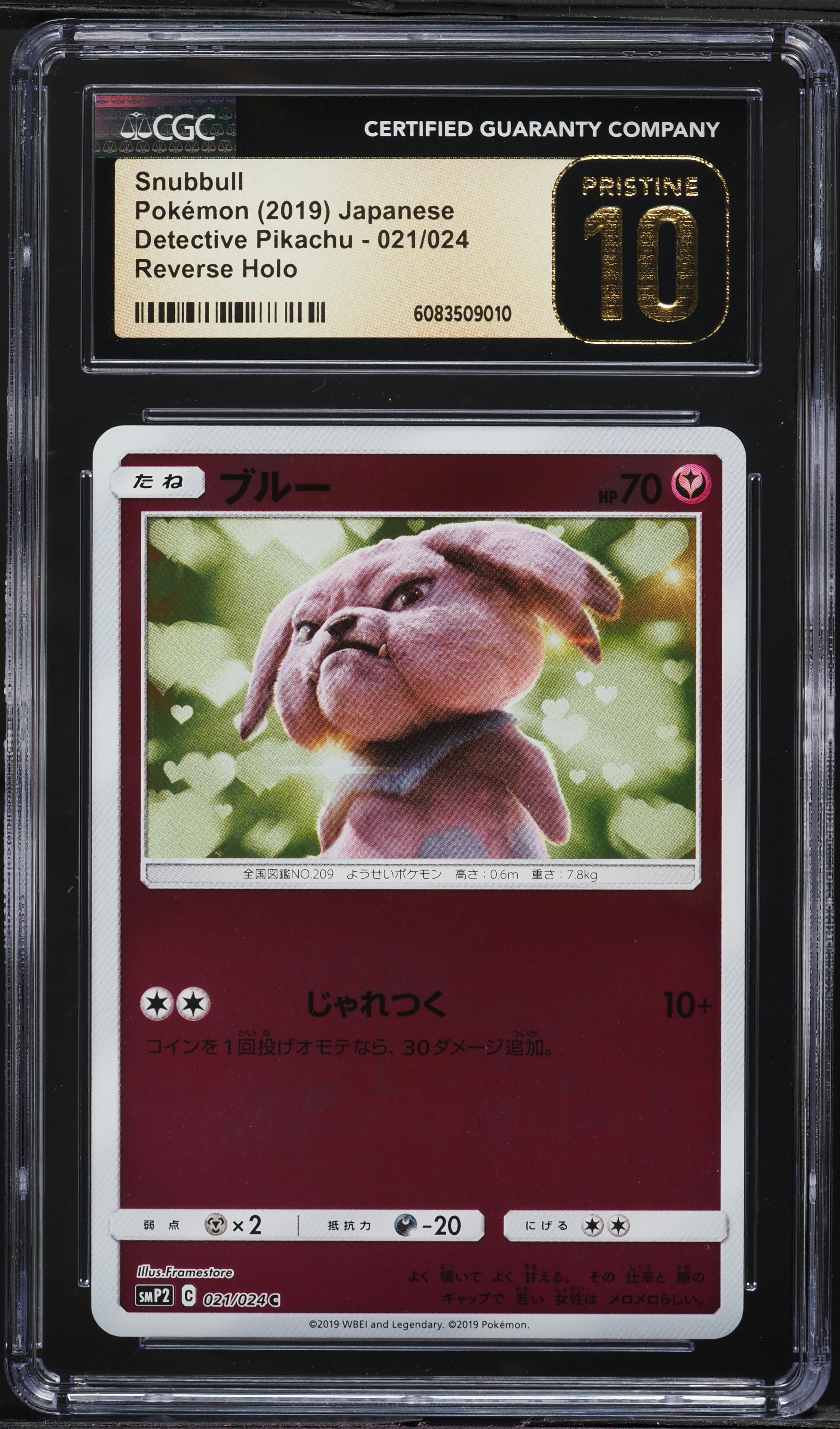 pokemon terapagos card Terapagos Cards | Dex