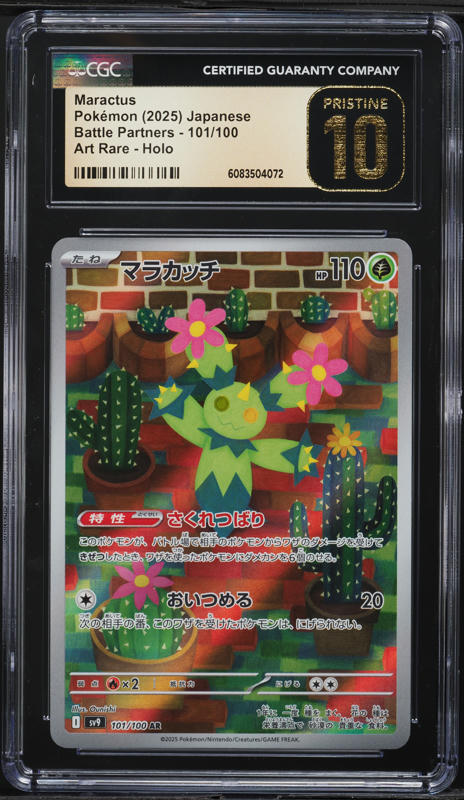 2025 Pokemon Scarlet & Violet Journey Together IR Maractus #160 PSA 10 GEM  MINT on Fanatics Collect