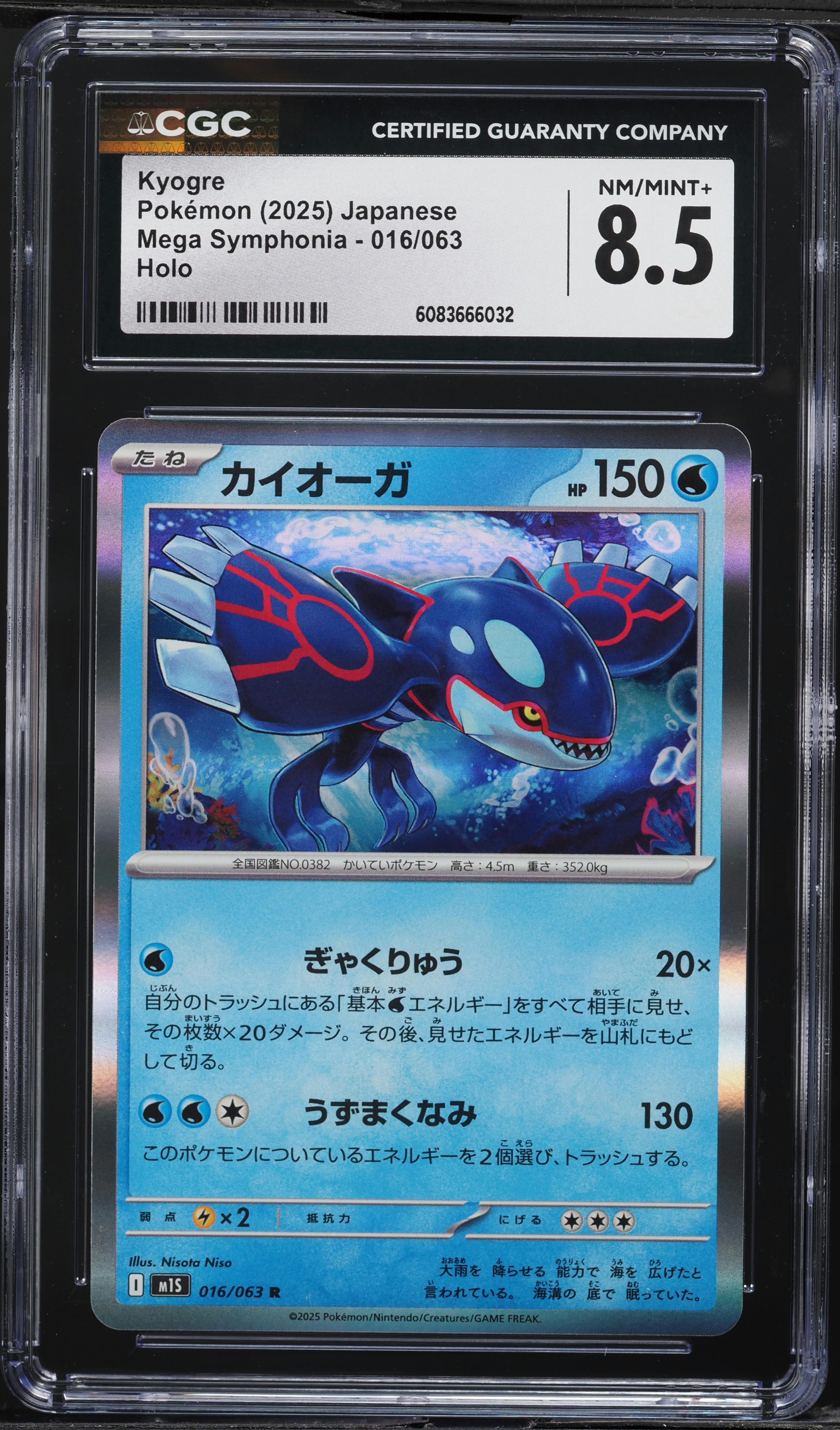 higo.0205.kyomiyako  higo.0205.kyomiyako Micro A female plug connector I Higo connectors