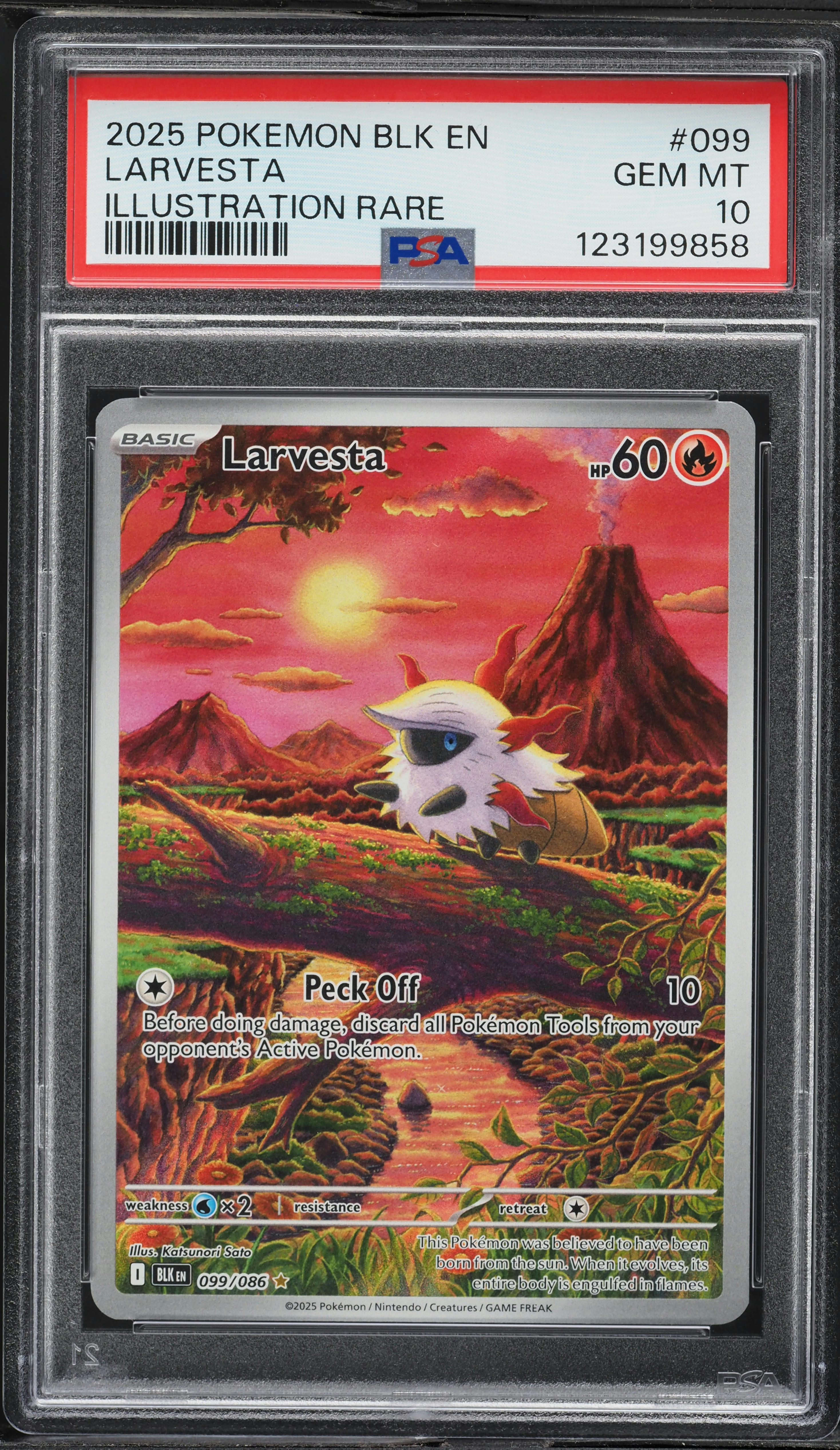 2025 Pokemon Scarlet & Violet Black Bolt IR Larvesta #99 PSA 10