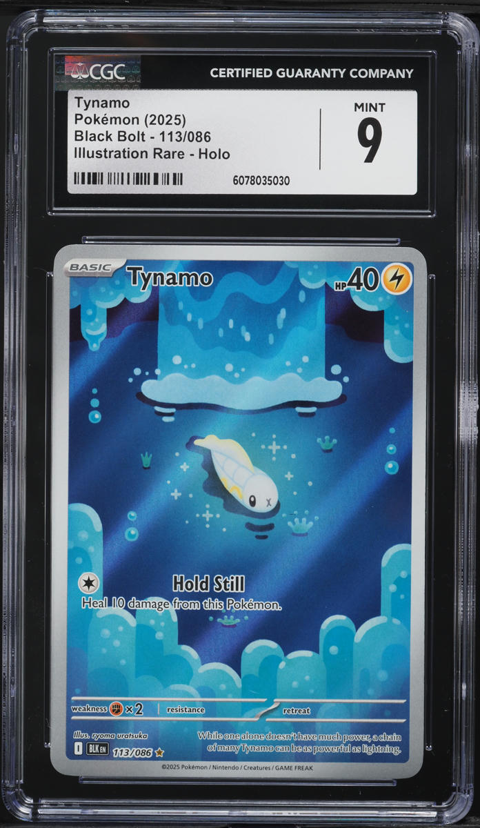 tynamo pokemon card price POKÉMON CARD GAME Deck Shield Galarian Ponyta & Rapidash