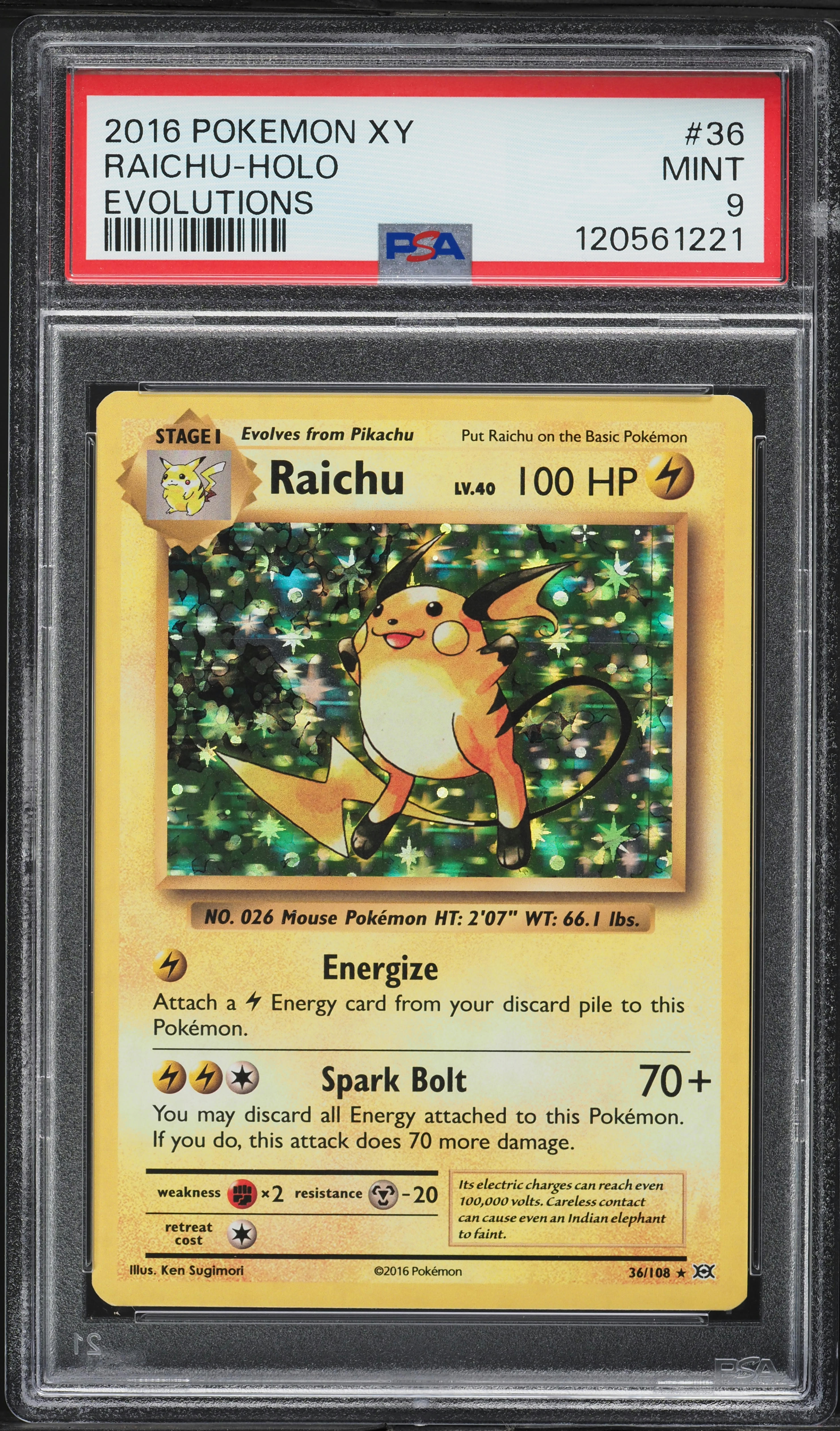 2016 Pokemon XY Evolutions Holo Raichu #36 PSA 9 MINT on Fanatics