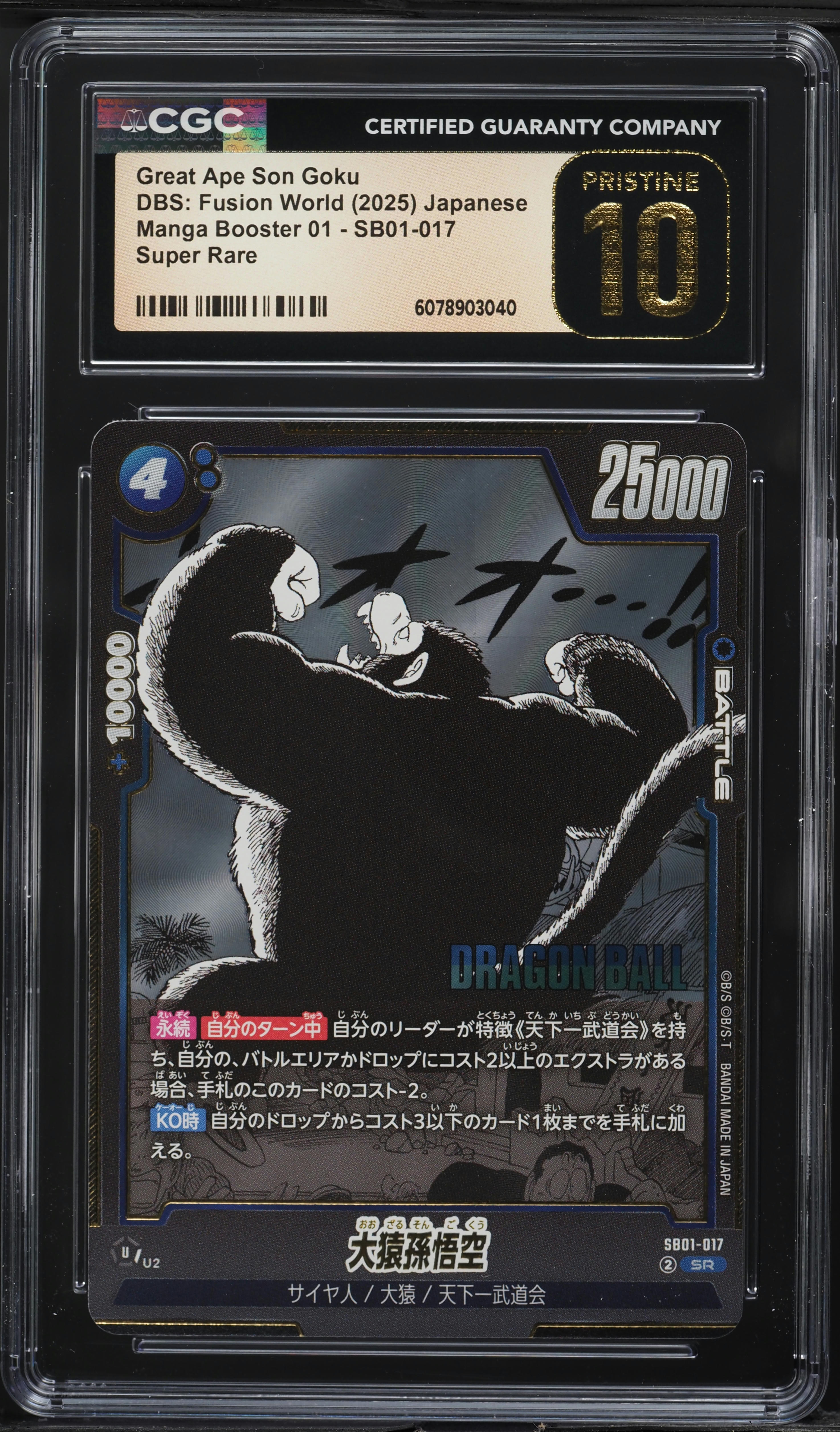 2025 DBS FSN WORLD JP ブルマ PCG10 2025 DBS FSN WORLD JP ブルマ