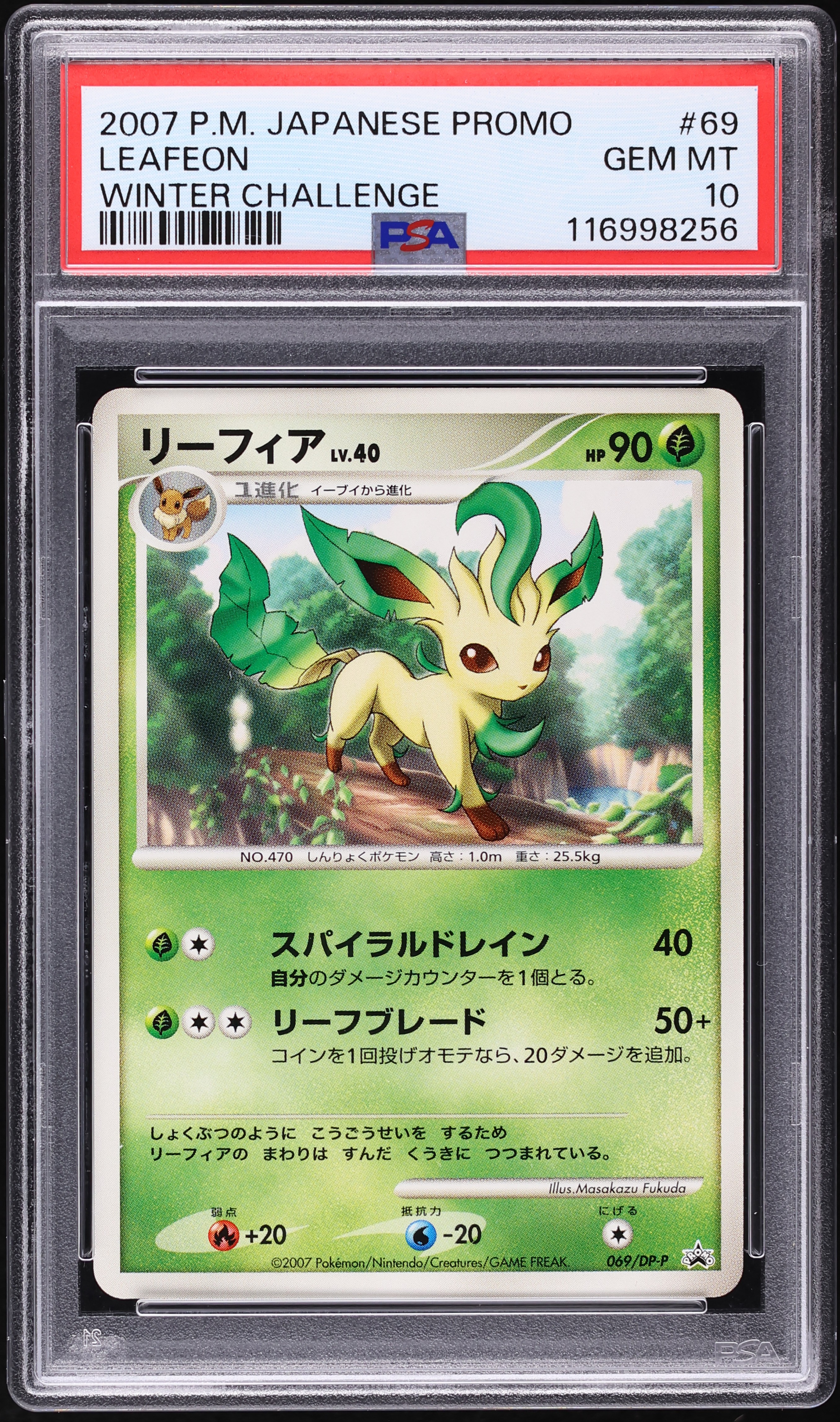 2007 Pokemon Japanese Diamond & Pearl Promo Winter Challenge