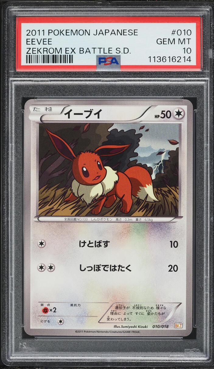2011 Pokemon Japanese Zekrom EX Battle Strength Deck Eevee #10 PSA 10 GEM MINT