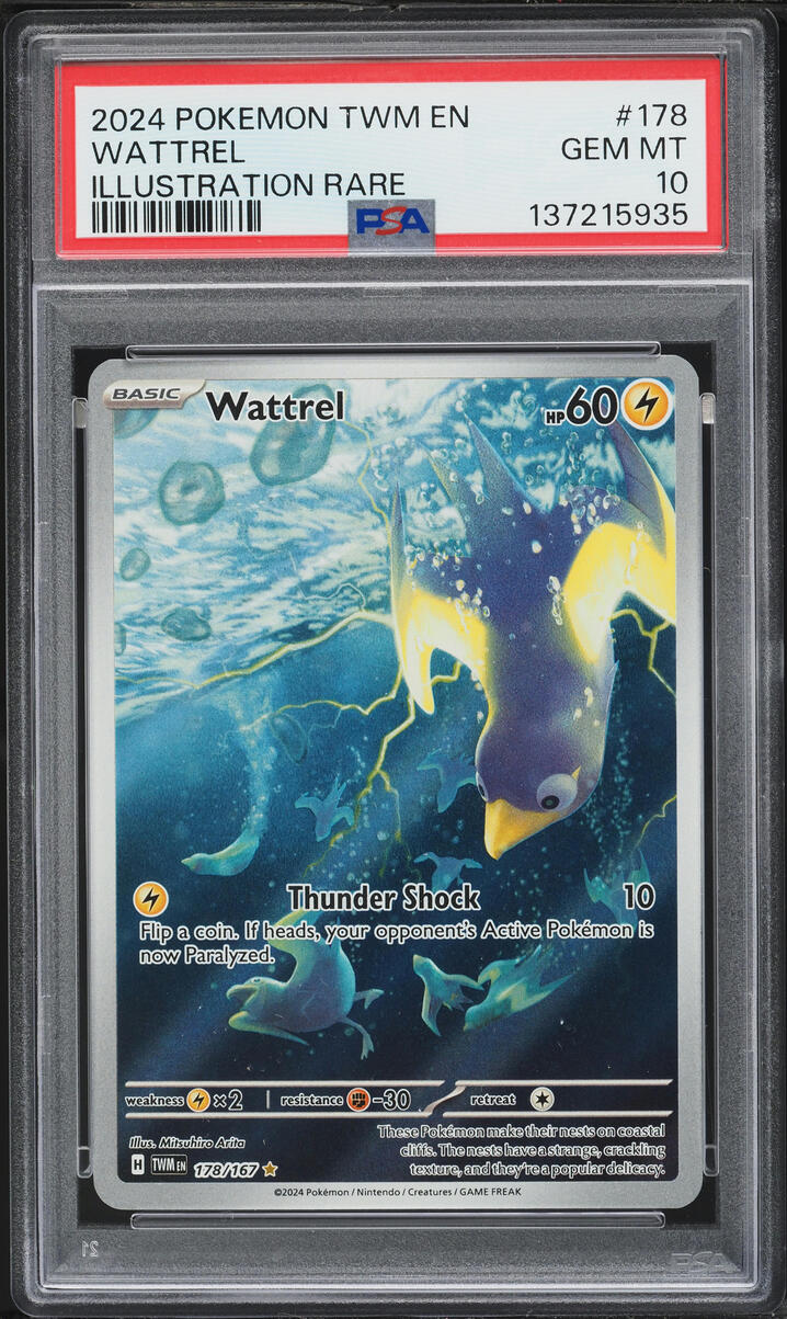 2024 Pokemon Scarlet & Violet Twilight Masquerade IR Wattrel #178 PSA 10 GEM MINT