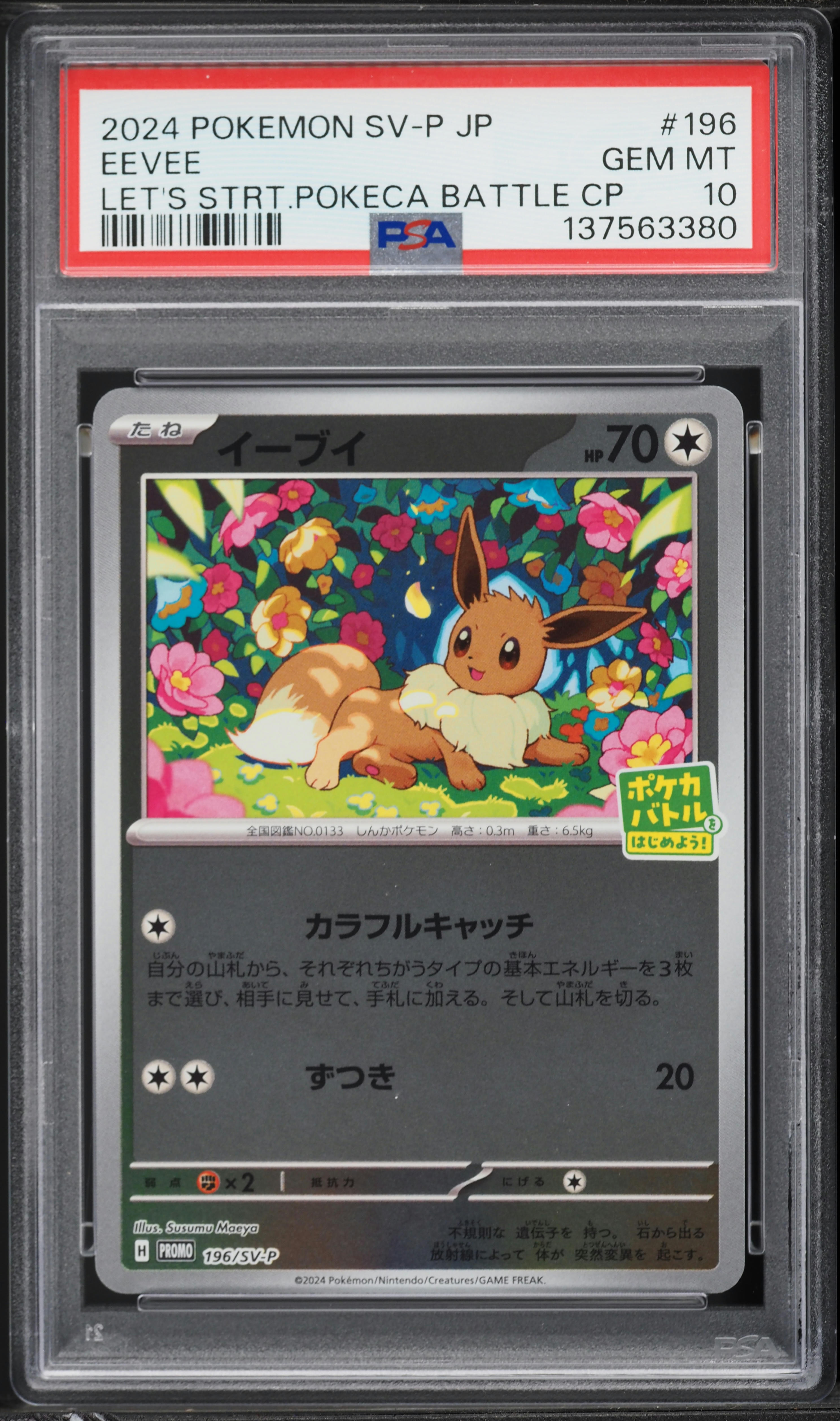 2024 Pokemon Japanese Scarlet & Violet Promo Let's Start A Battle