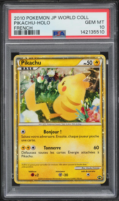 2022 Pokemon Japanese SWSH Promo Pokemon GO Card File Holo Pikachu
