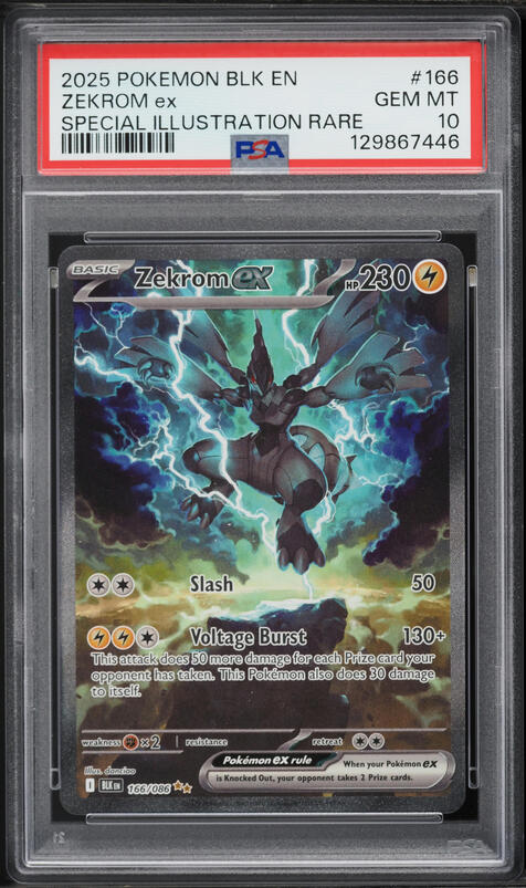 ポケモンカードゲーム 2025 Zekrom ex #174 BW RARE Gem Mint 10 CGC 10 GEM MINT JAPANESE POKEMON 2025 Zekrom ex 169/086 BLACK BOLT