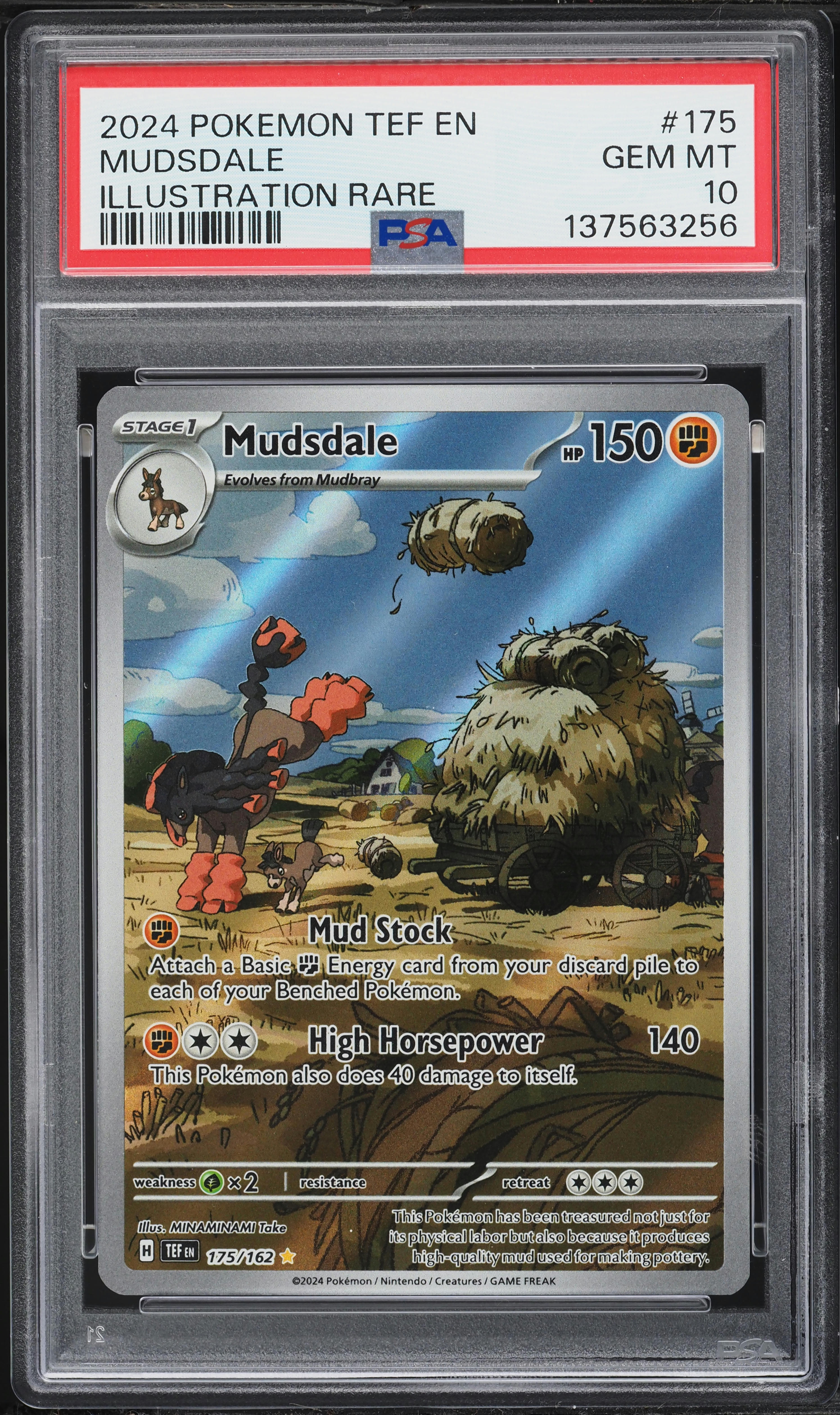 mudsdale pokemon card value 097/185 | Rare | SWSH-04 Vivid Voltage Stage 1 Mudsdale - Vivid Voltage Pokmon