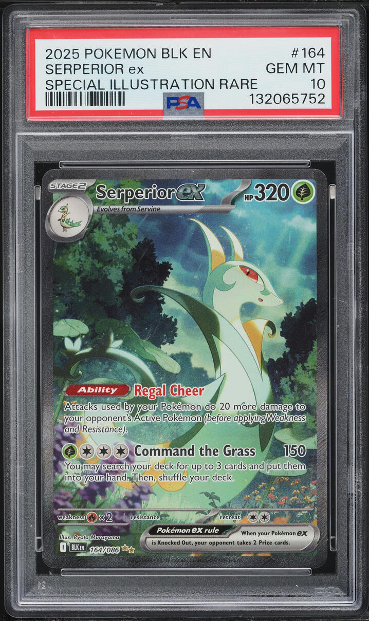 2025 Pokemon Scarlet & Violet Black Bolt SIR Serperior ex #164 PSA 10 GEM MINT
