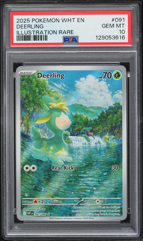 2025 Pokemon Scarlet & Violet White Flare IR Deerling #91 PSA 10 GEM MINT