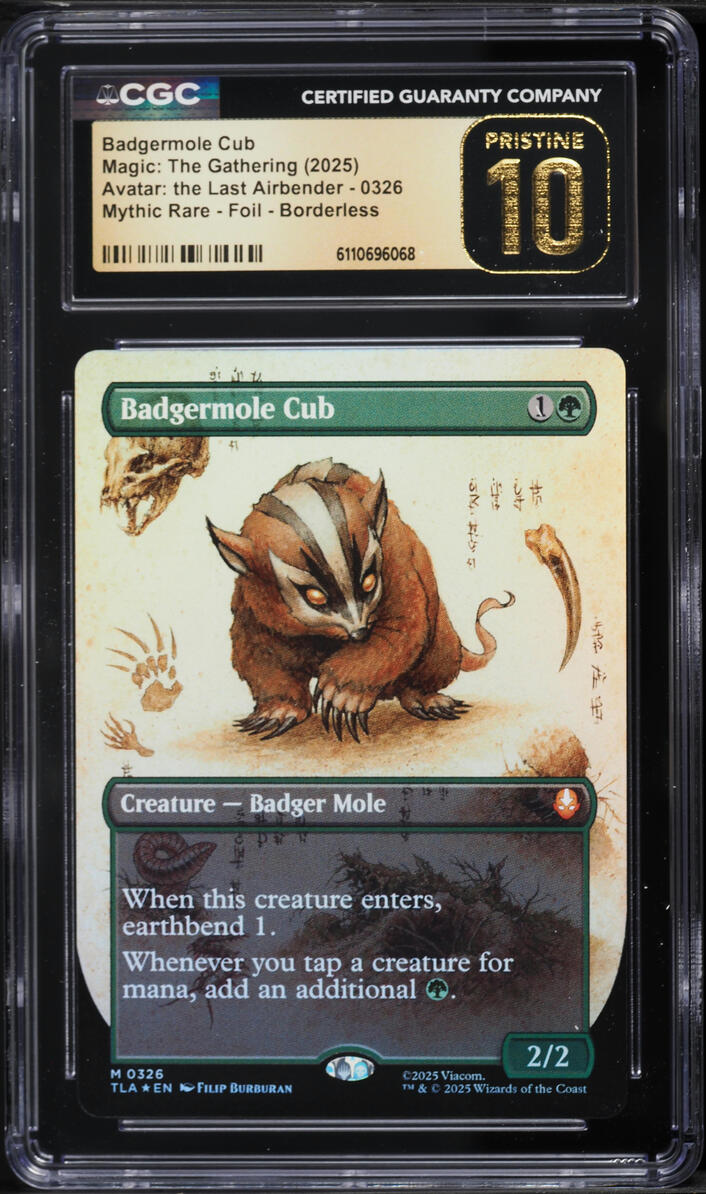 2025 Magic The Gathering MTG Avatar The Last Airbender Foil