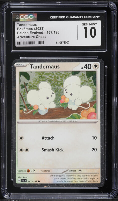 2023 Pokemon Scarlet & Violet Paldea Evolved Adventure Chest Tandemaus #167 CGC 9 MINT on Fanatics Collect 2023 Pokemon Scarlet & Violet Paldea Evolved Adventure Chest Tandemaus #167 CGC 9 MINT on Fanatics Collect