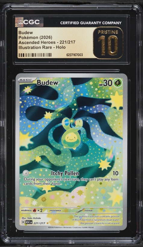 2025 Pokemon Japanese Mega Dream ex AR Budew #196 PSA 10 GEM MINT