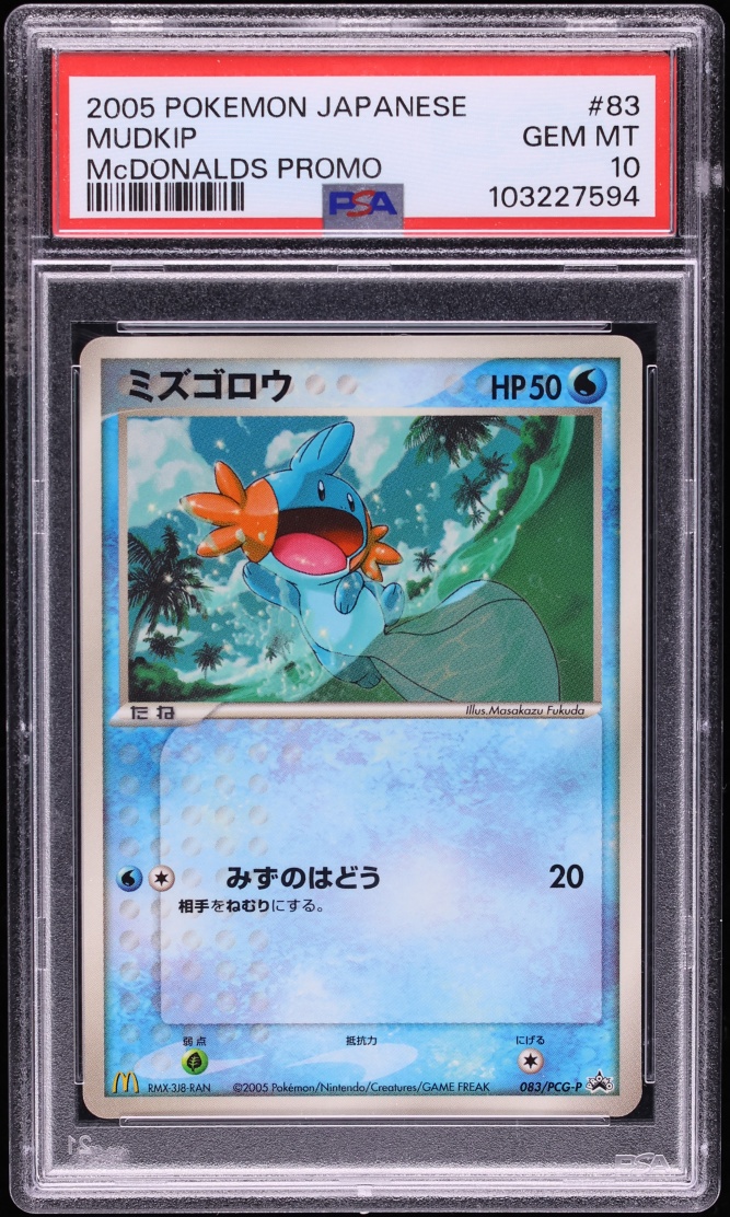 Mudkip
