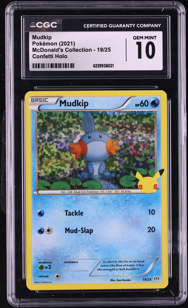 Mudkip
