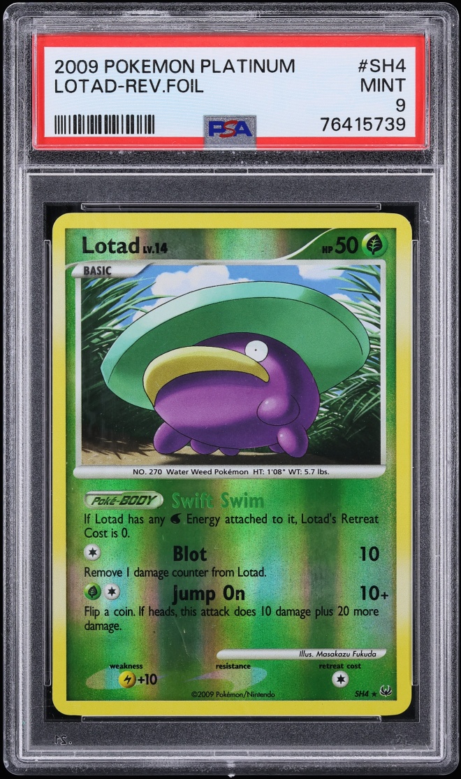 Lotad