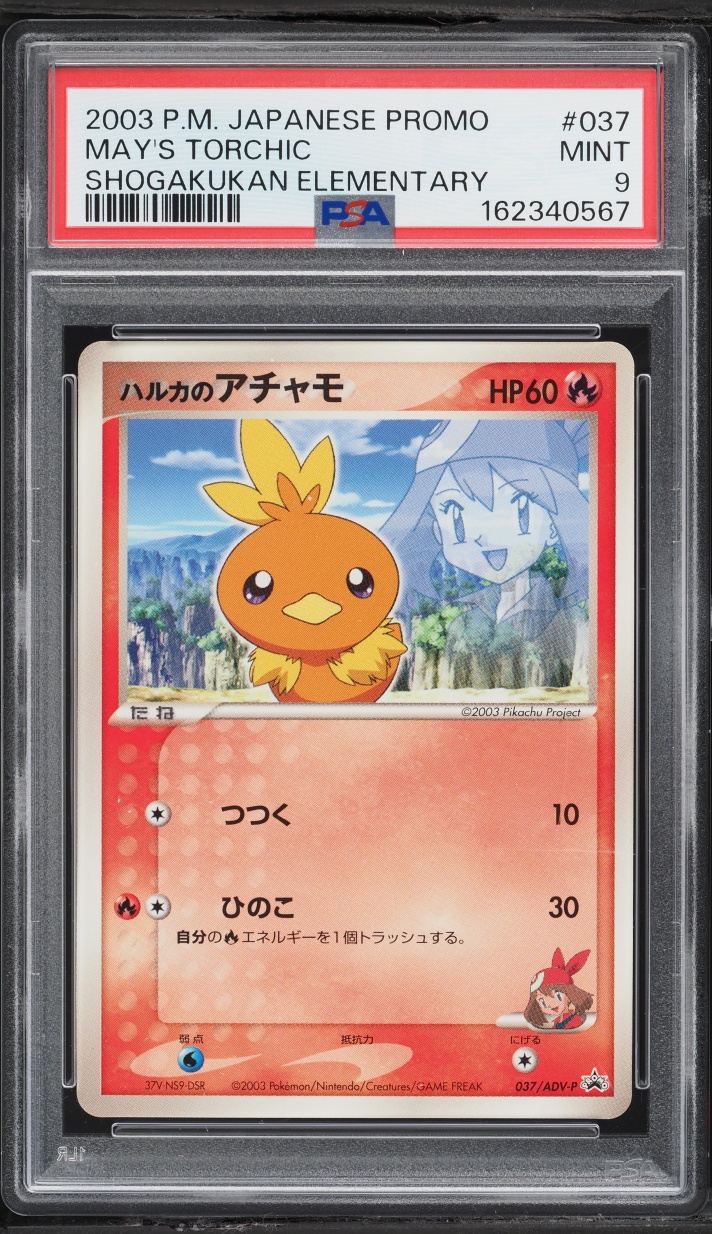 May's Torchic