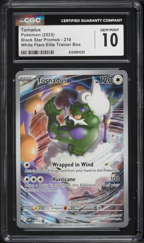 academy pokemon cards Pokemon Card Game Battle Academy Korean Ver. 2024 Limited – Pokioh main image 0