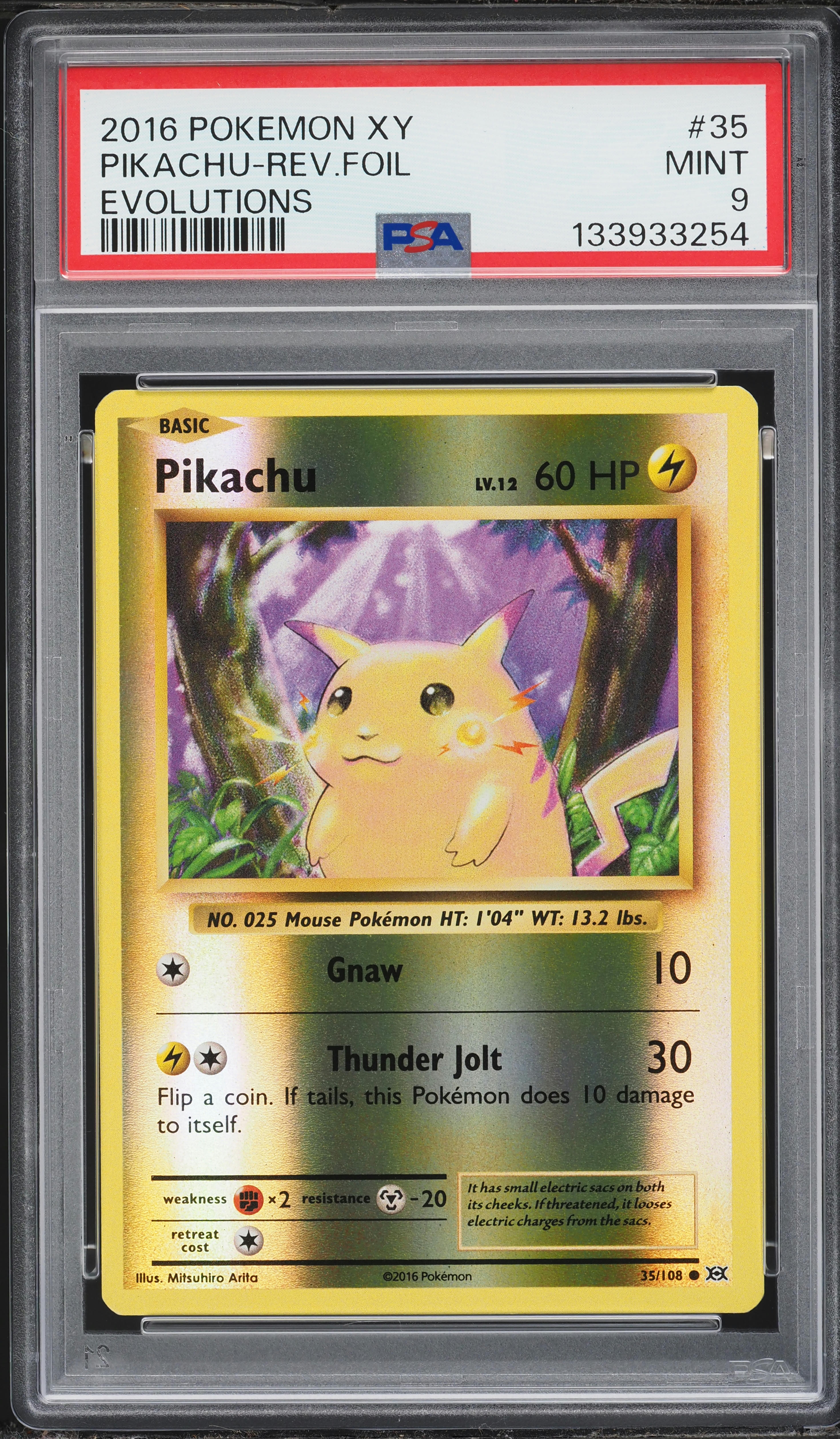 pokemon card pikachu 2016 Libre 30/30 PSA 8 Zapp! Comics Evolves from null Type 2016 Pokemon - XY- Evolutions