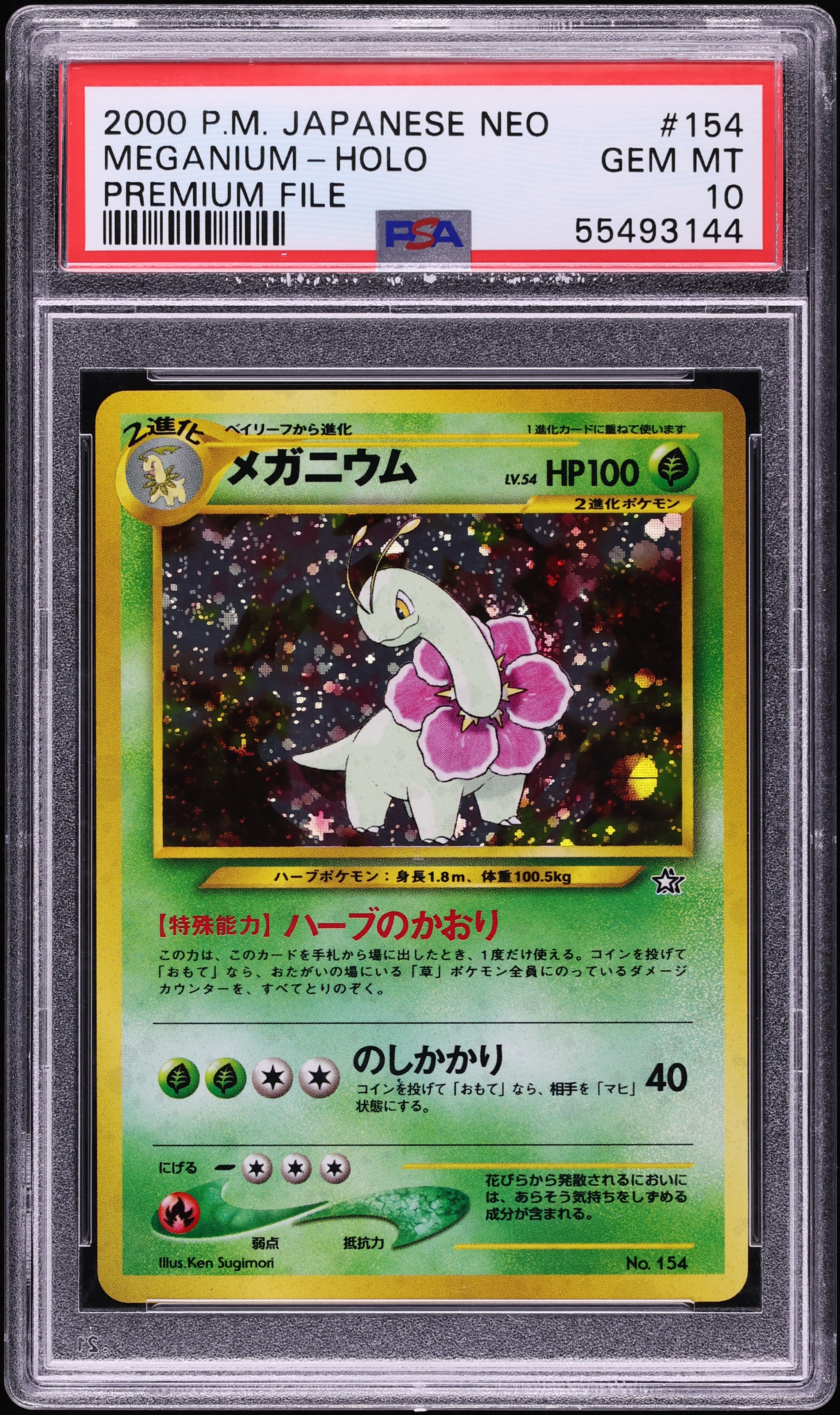 1999 Pokemon Japanese Gold Silver To A New World Premium File Holo