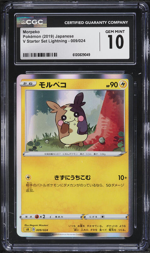 2023 Pokemon Scarlet & Violet Paradox Rift IR Morpeko #206 CGC 10 GEM MINT  on Fanatics Collect