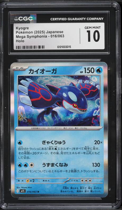 all poncho pokemon cards Pikachu Poncho 208 XY-P Case