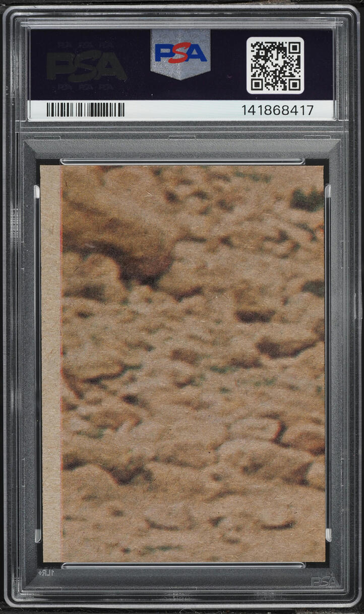 1977 Topps Star Wars Chewbacca Poses As A Prisoner! #117 PSA 8 NM-MT
