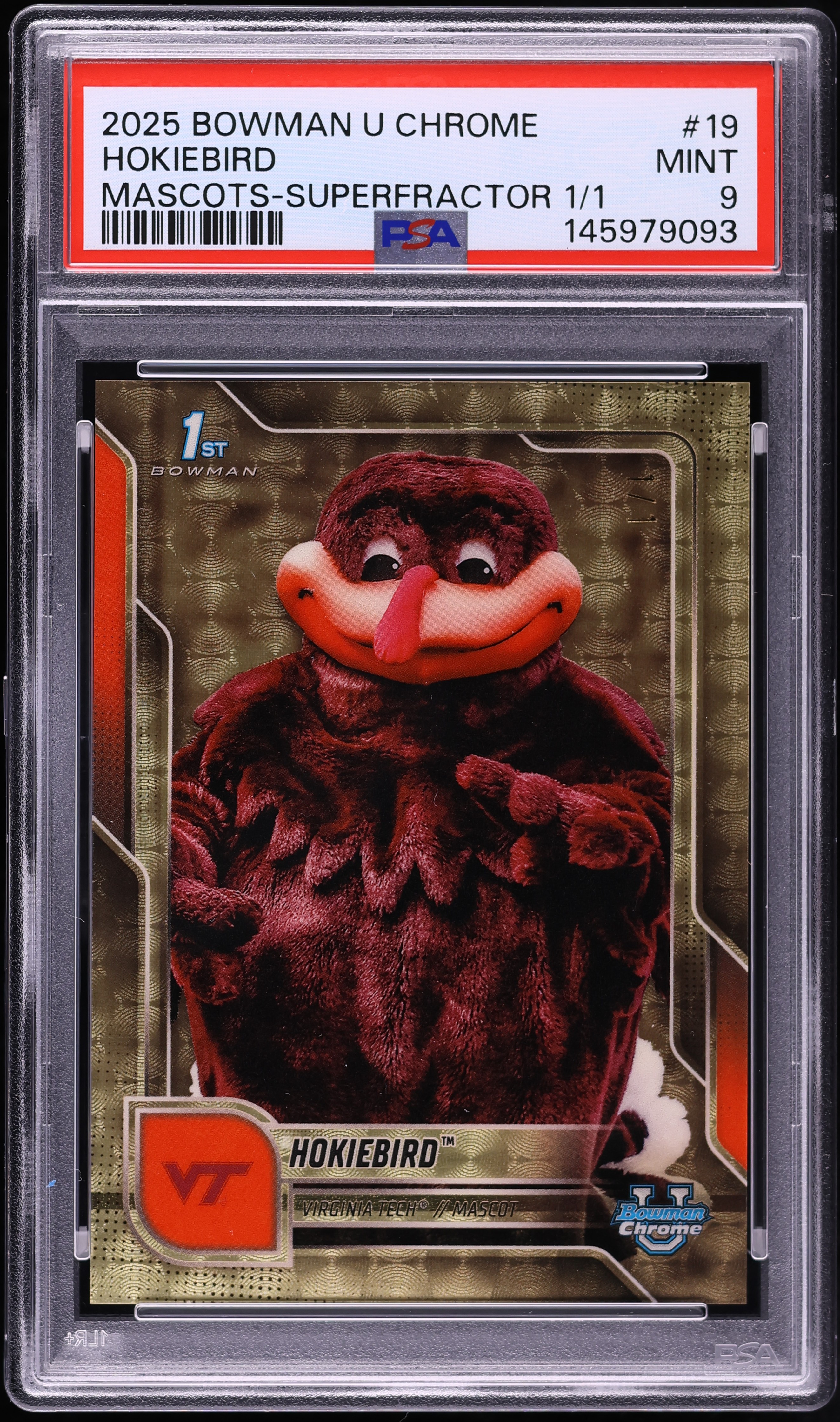 HokieBird