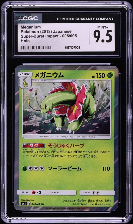 pokemon card mat Pokemon TCG Solid Teal Playmat