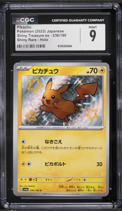 2022 Pokemon Japanese Sword & Shield Promo GO Card File Set Holo