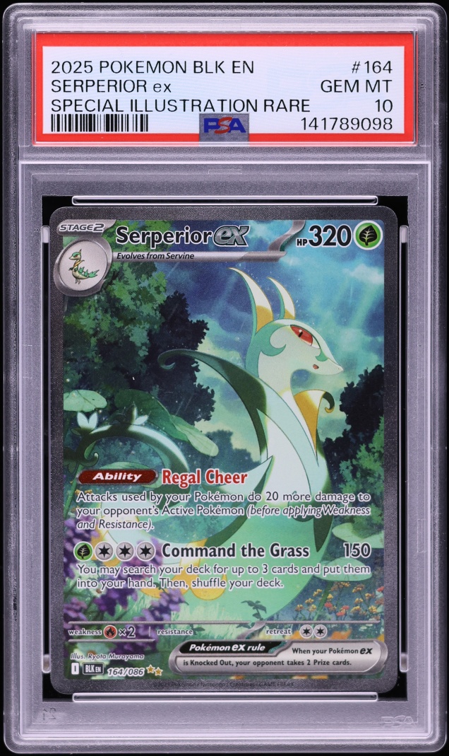 2025 Pokemon Scarlet & Violet Black Bolt SIR Serperior ex #164 PSA 10 GEM MINT